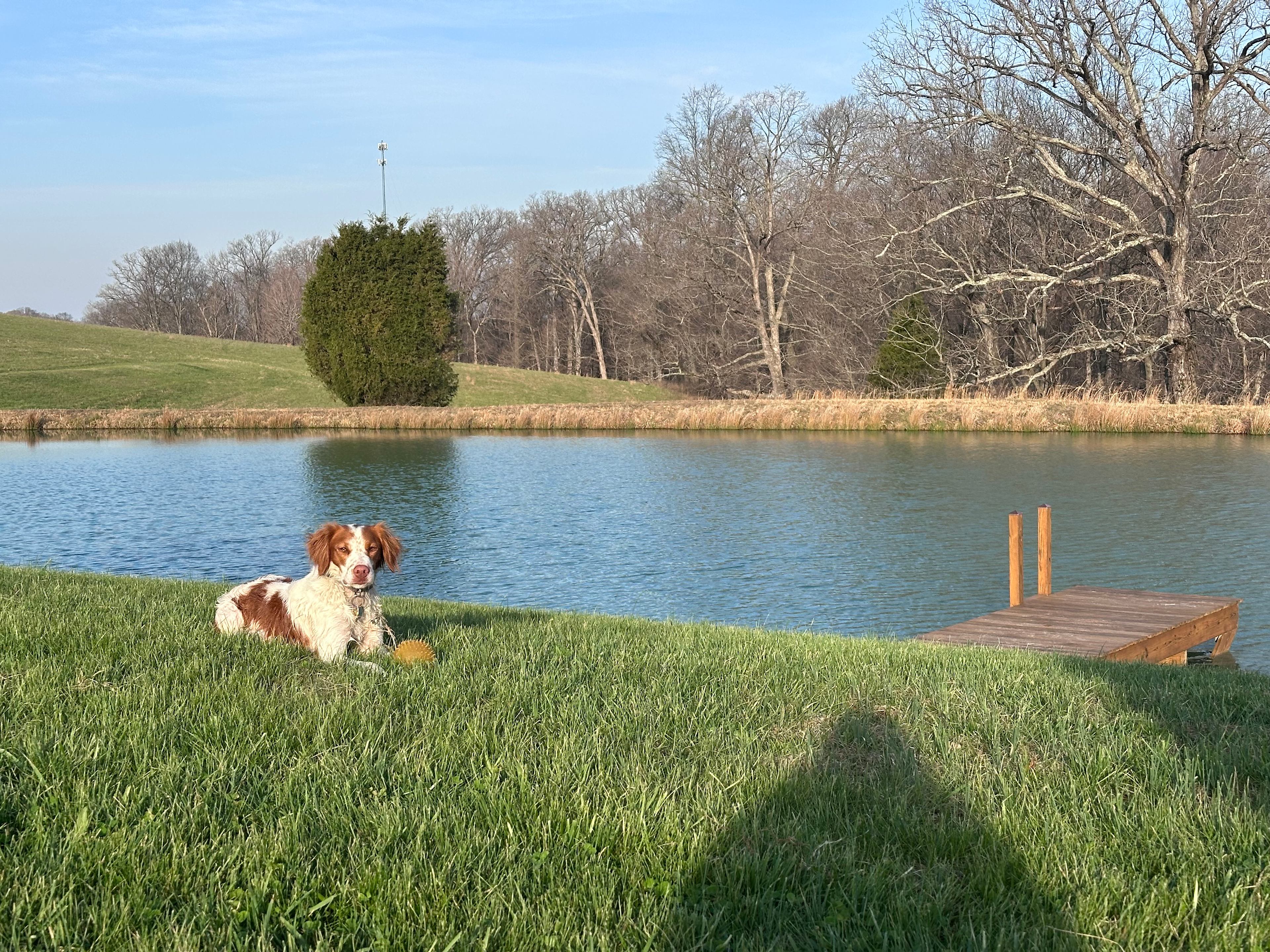 Hill Springs Campground