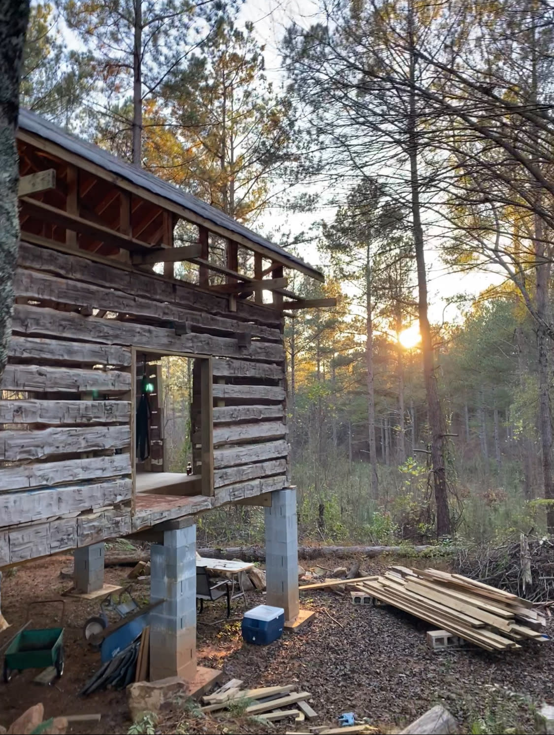 Serendipity @ Full Circle Sanctuary