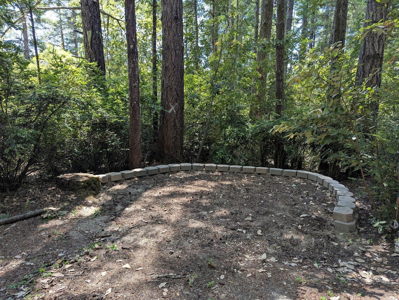 Flat area perfect for a tent