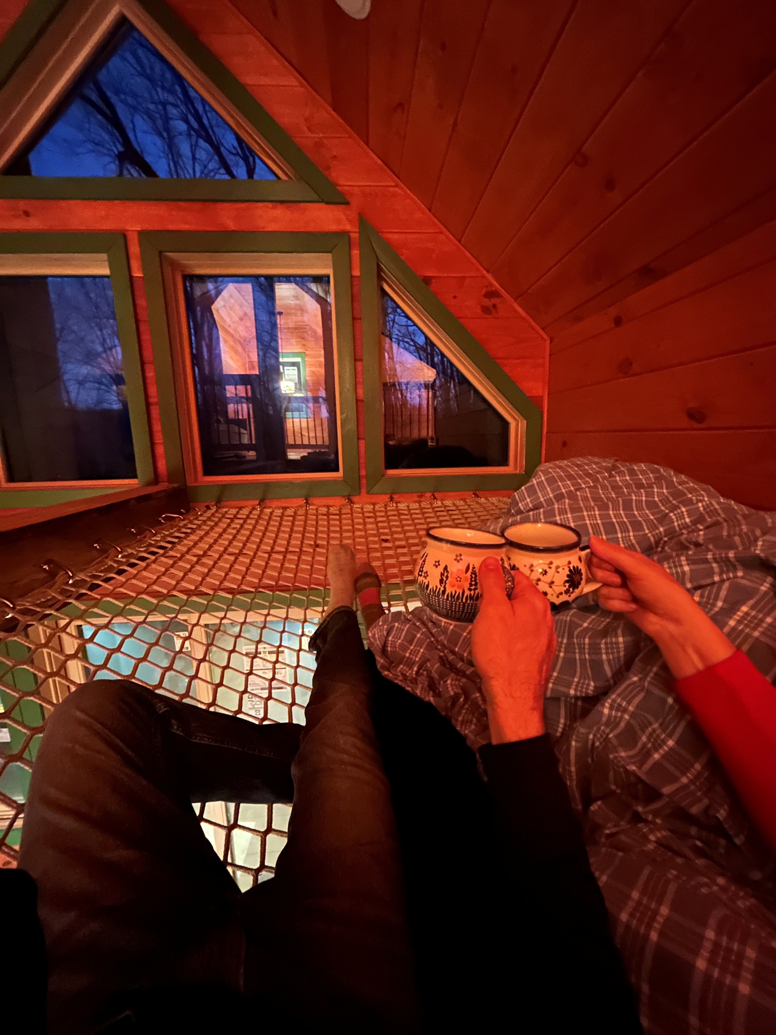 Beary Cozy Treehouse