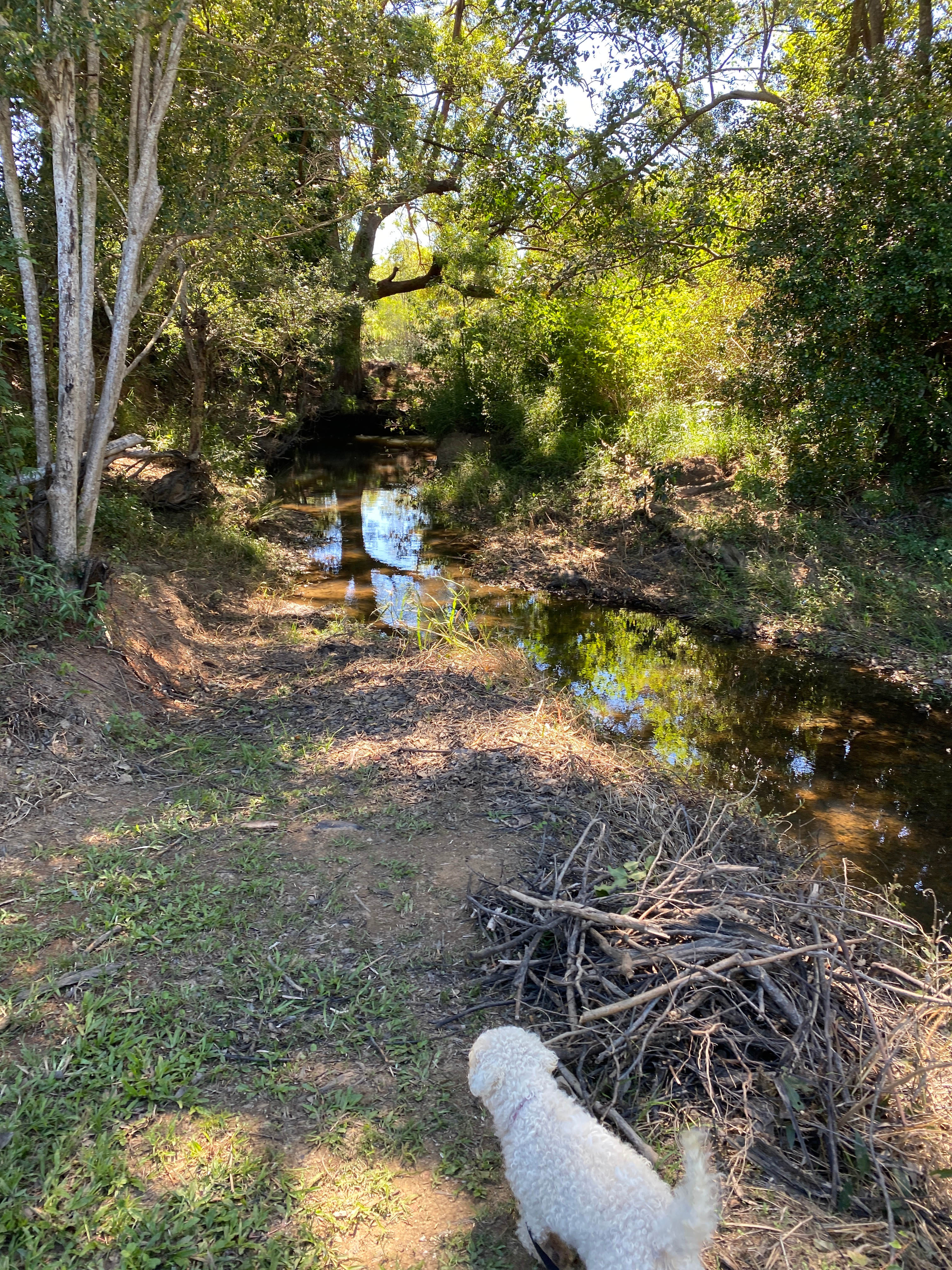 Sandycreek Homestead