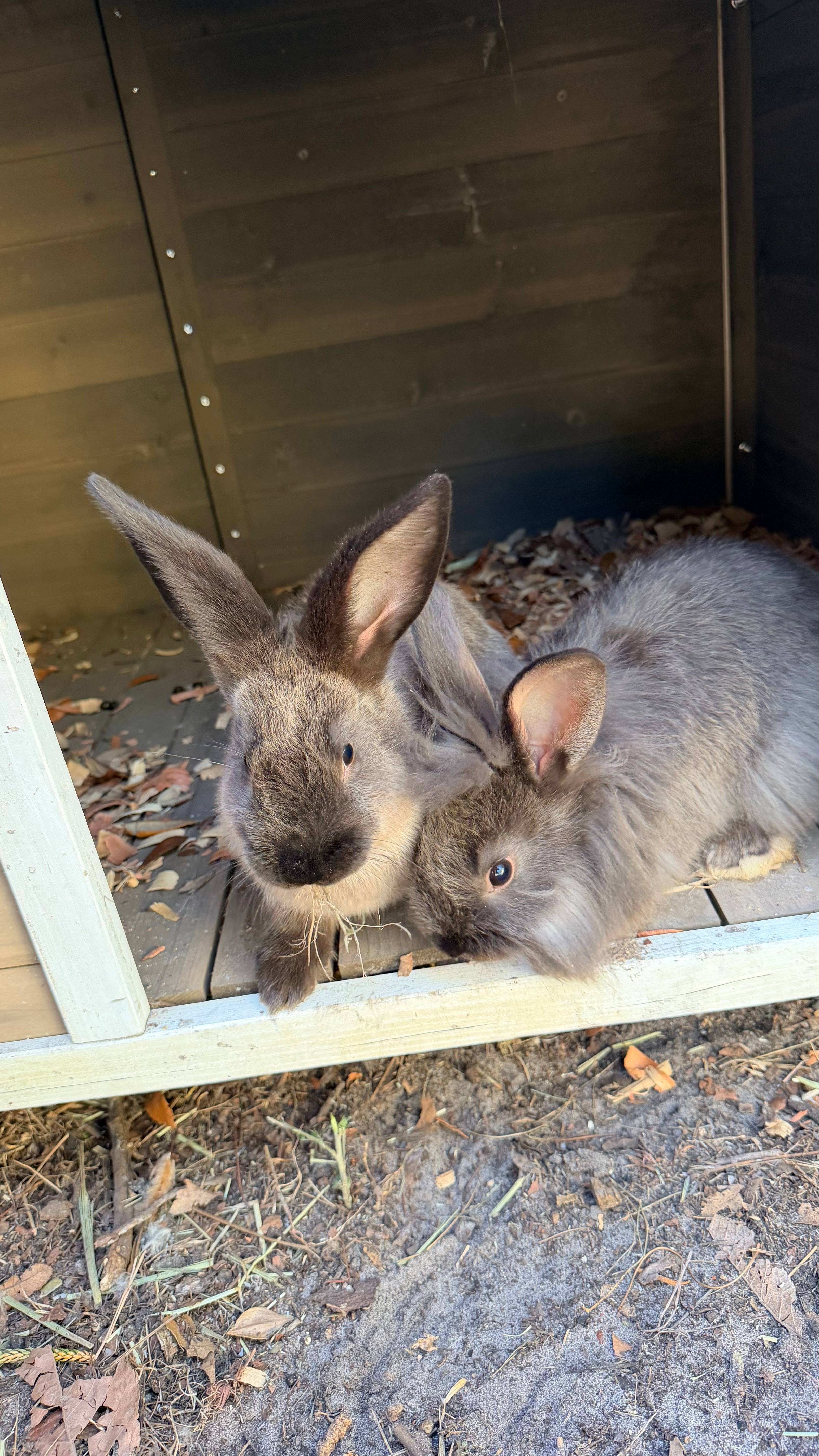 Top Harmony Farmhouse