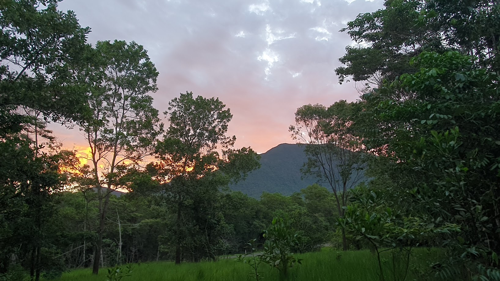Rainforest Creek Camping