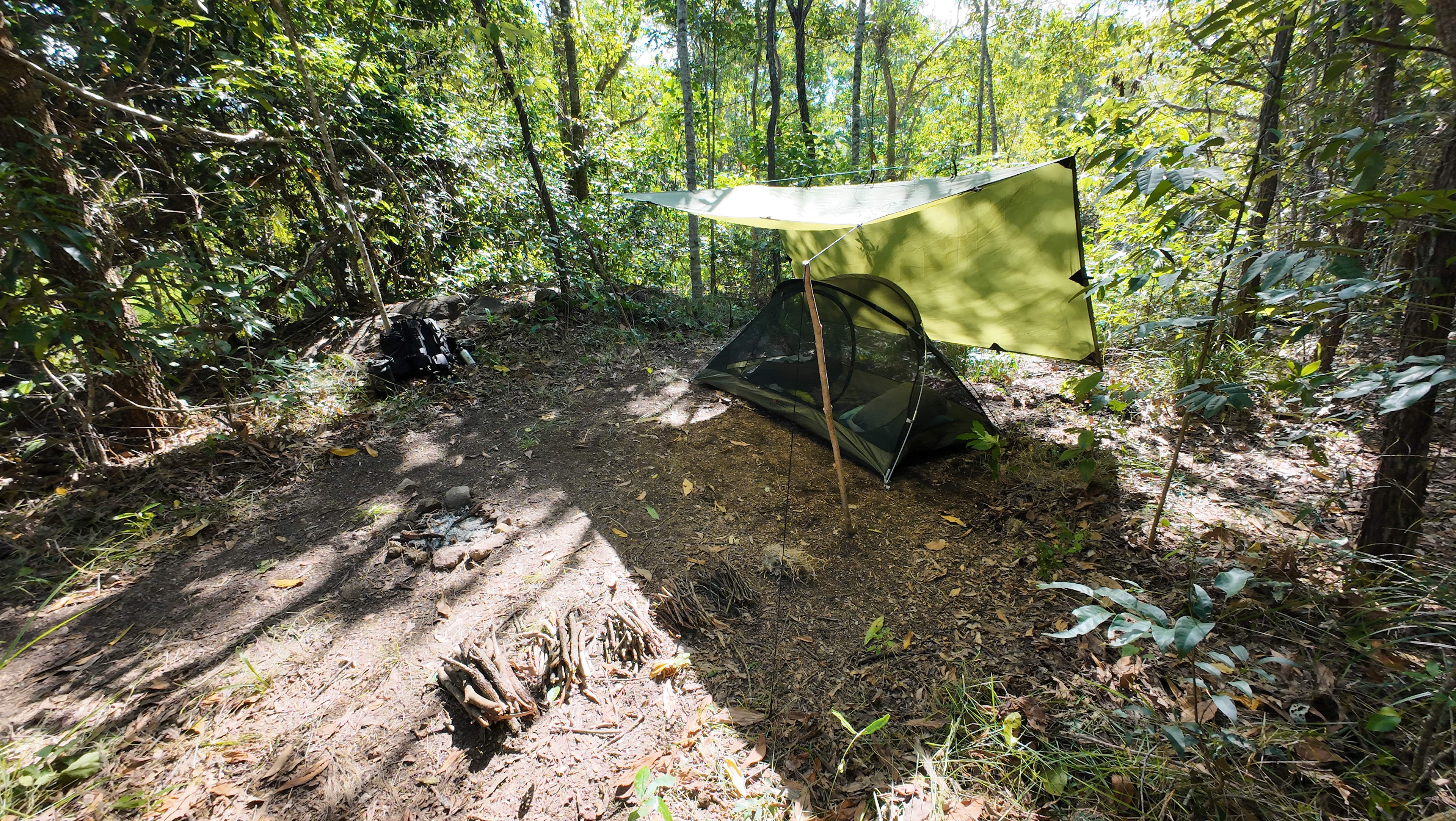 Rainforest Creek Camping