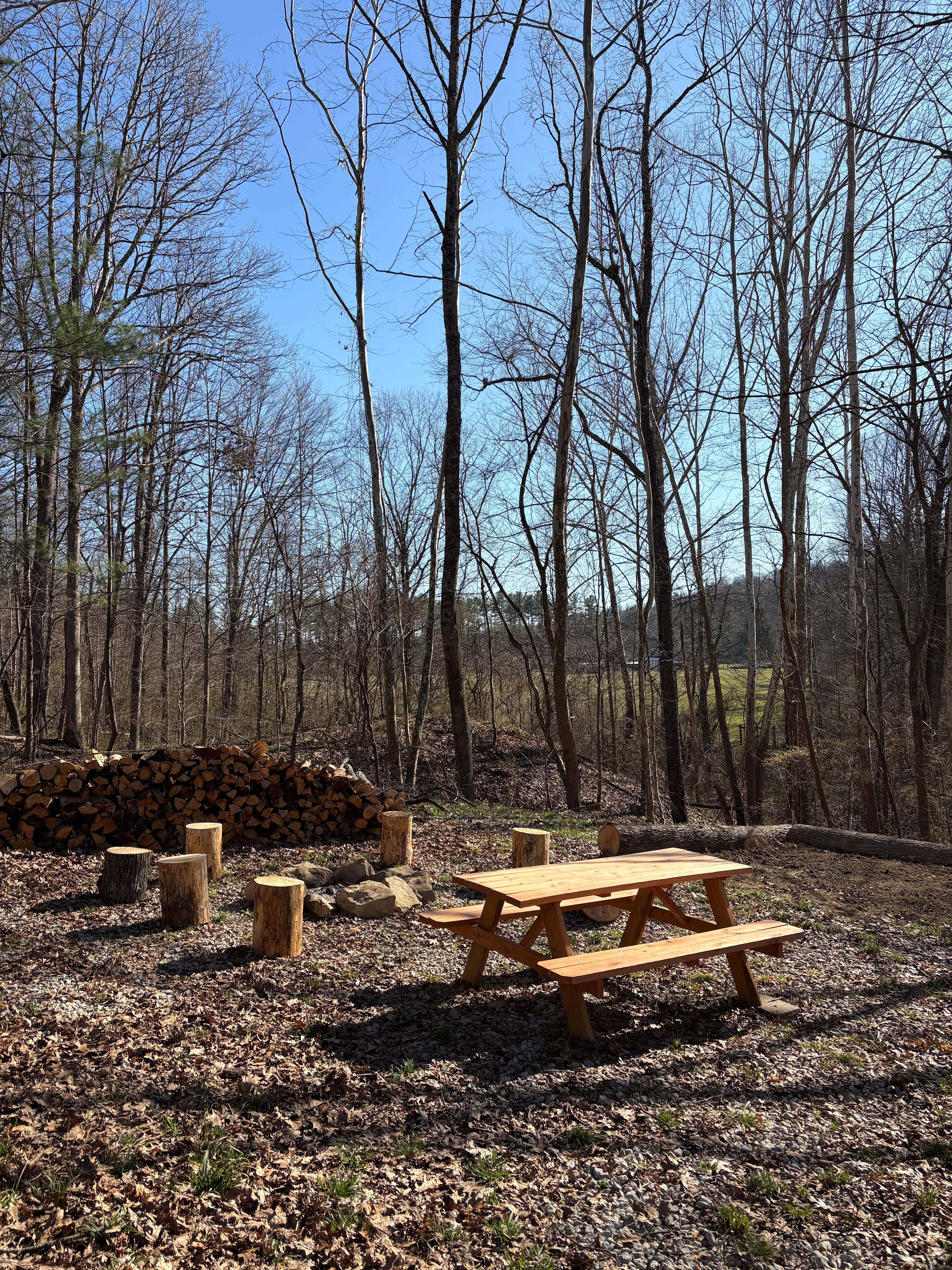 Camp Paw Paw