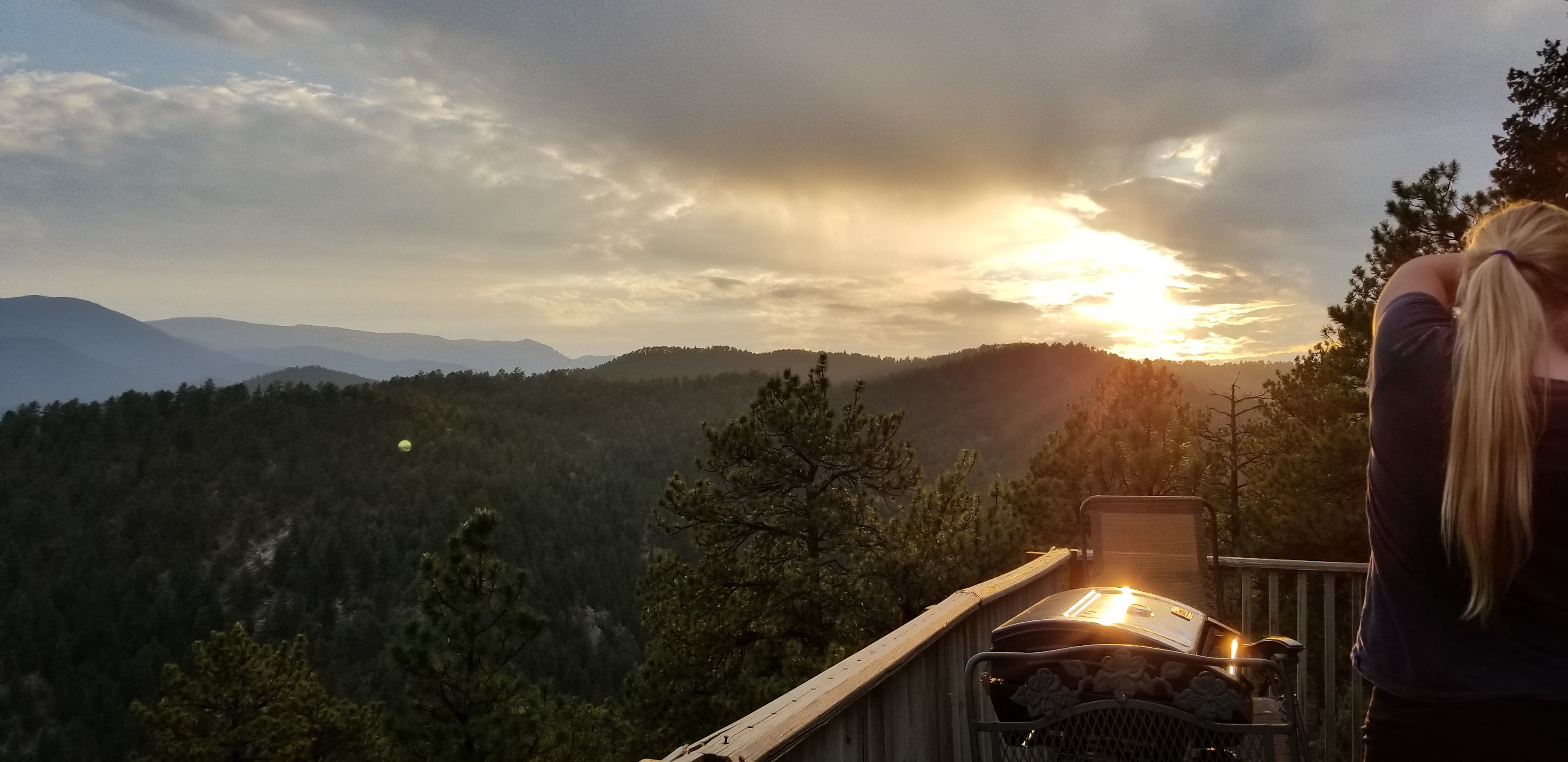 Sanctuary in the sky