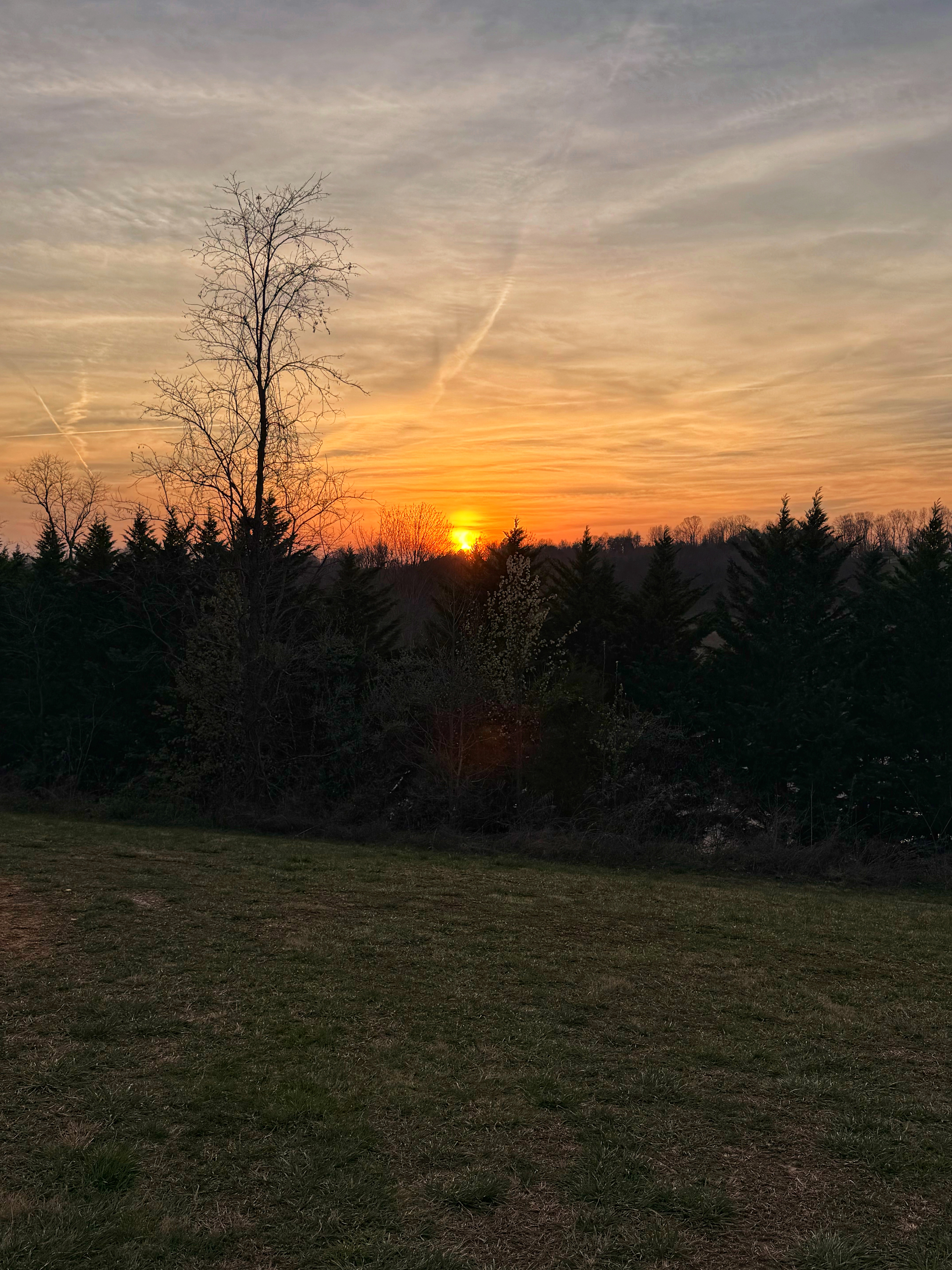 Persimmon Ridge Nature Retreat