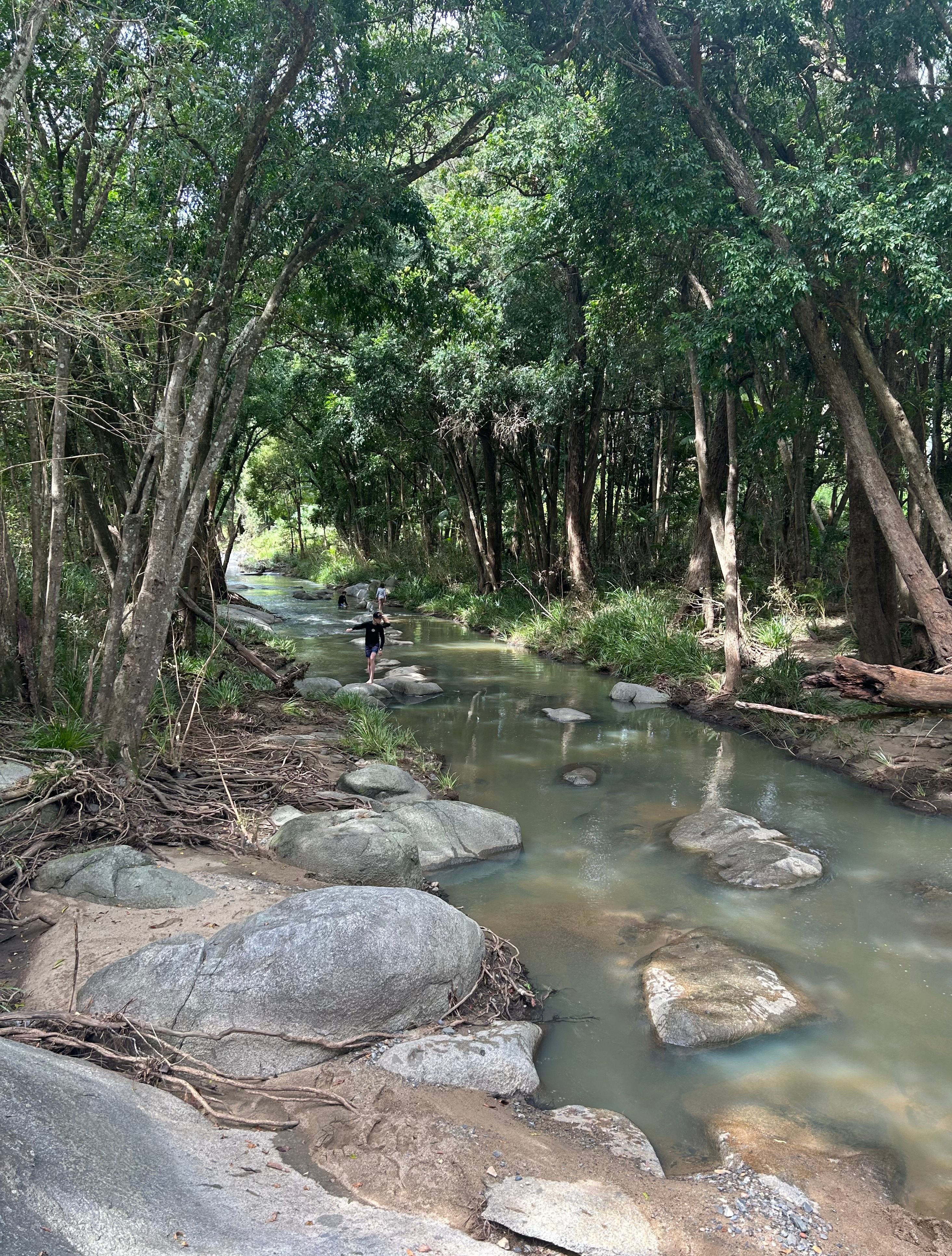 Further along the creek... Or the infamous Cedar Creek is also only a short drive away if you're after larger rock pools and mini waterfalls!
