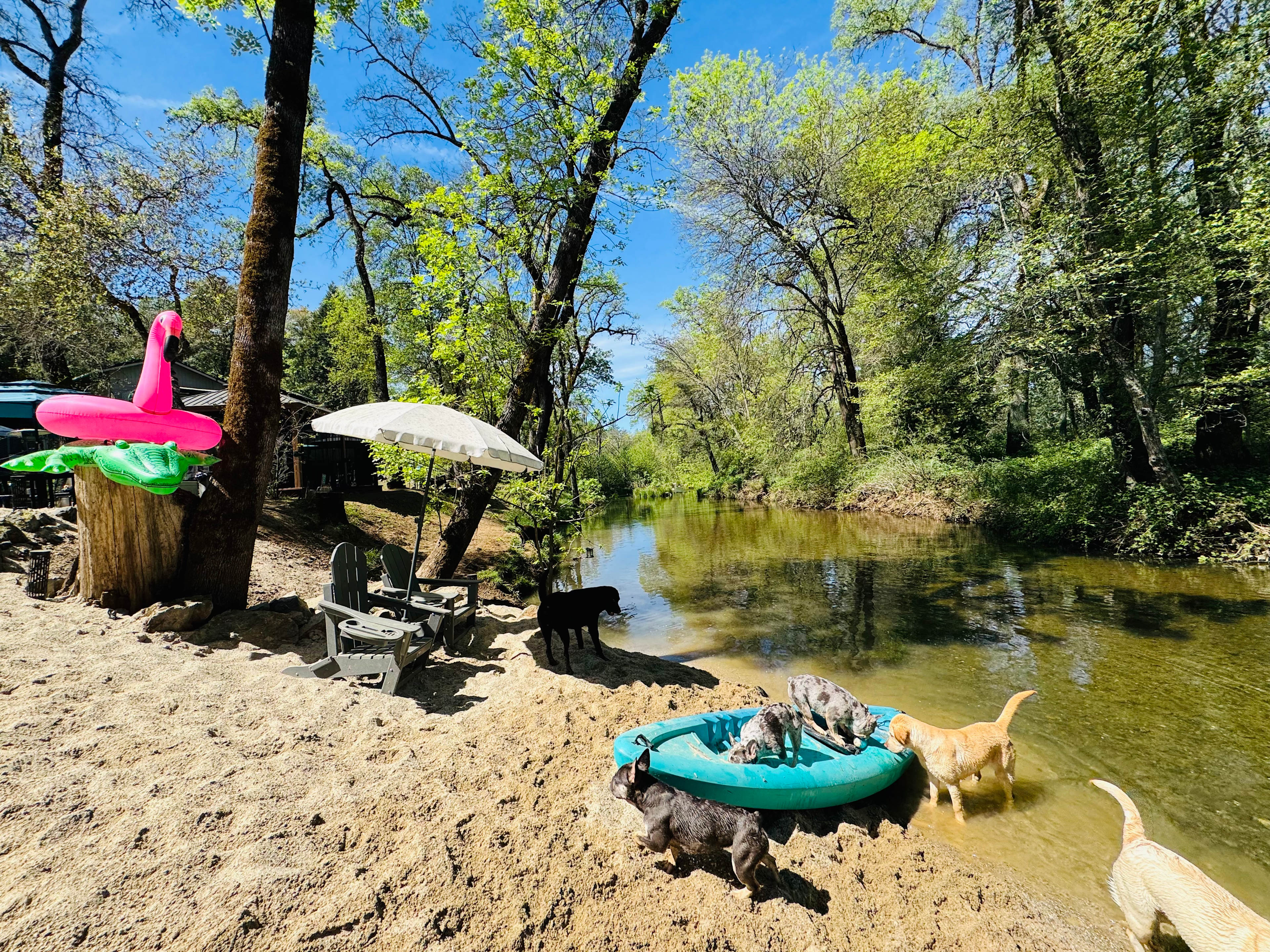 Pleasant Valley Creekside Ranch LLC