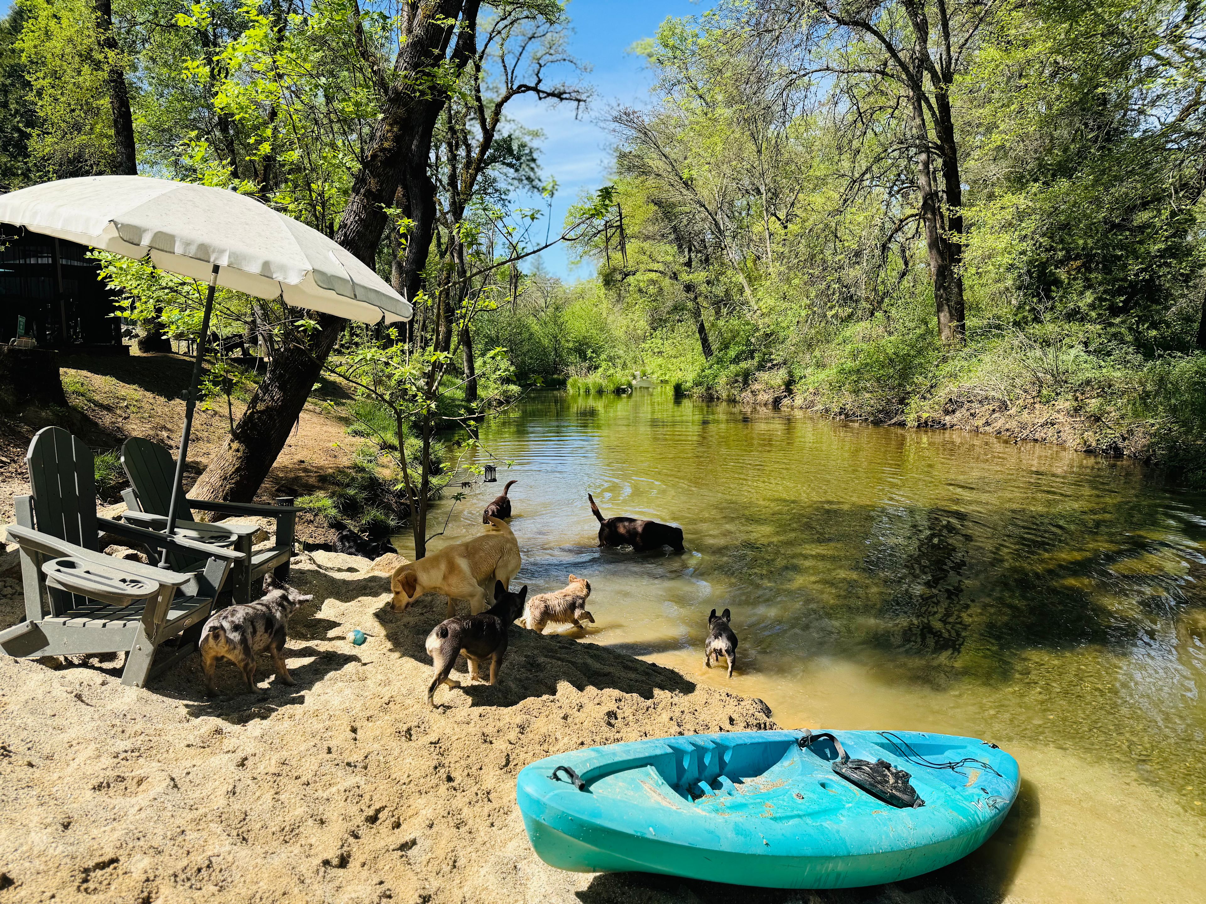 Pleasant Valley Creekside Ranch LLC