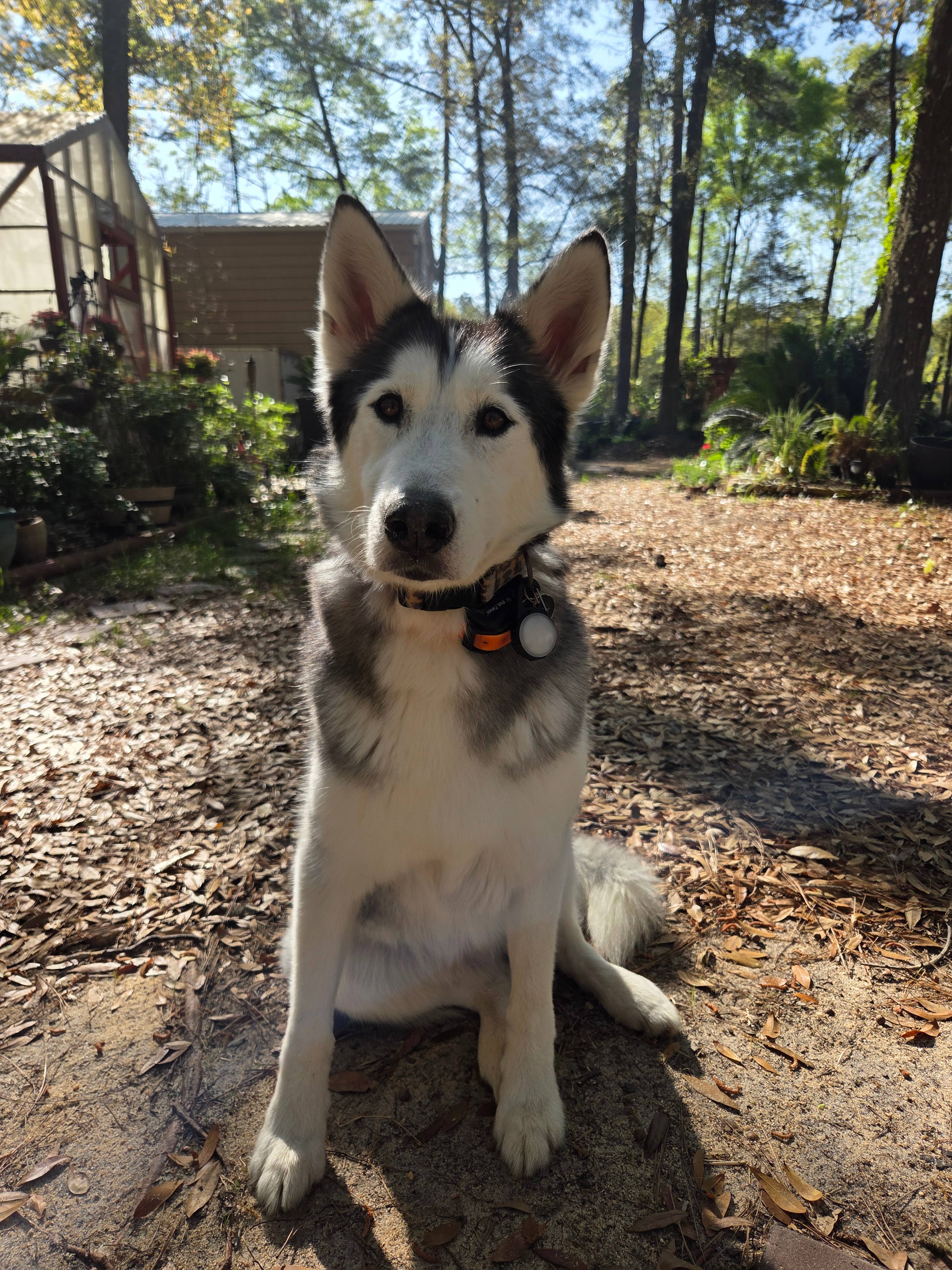 Glamping In Paradise