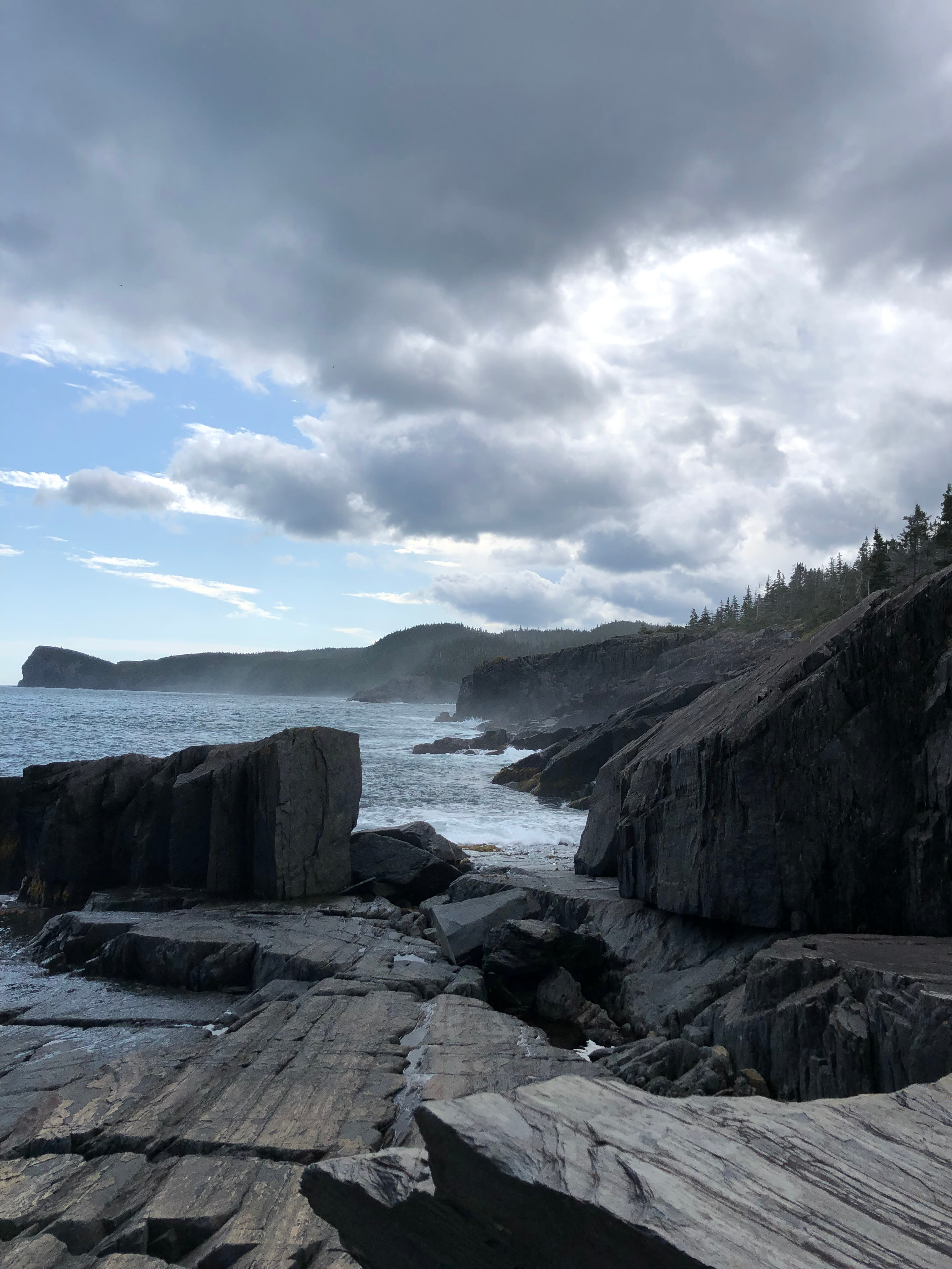 East Coast Newfoundland Cottage & Cabins