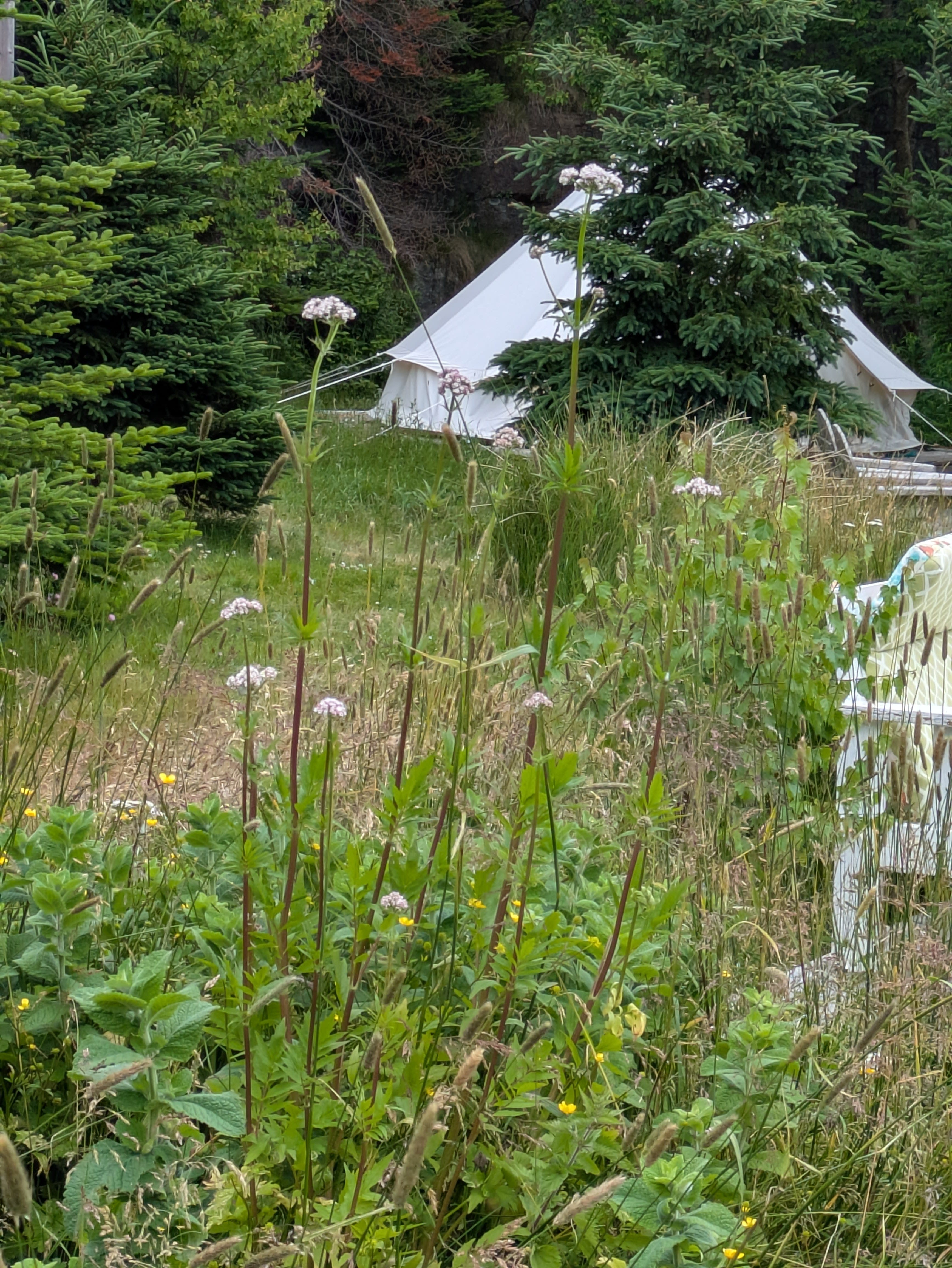East Coast Newfoundland Cottage & Cabins