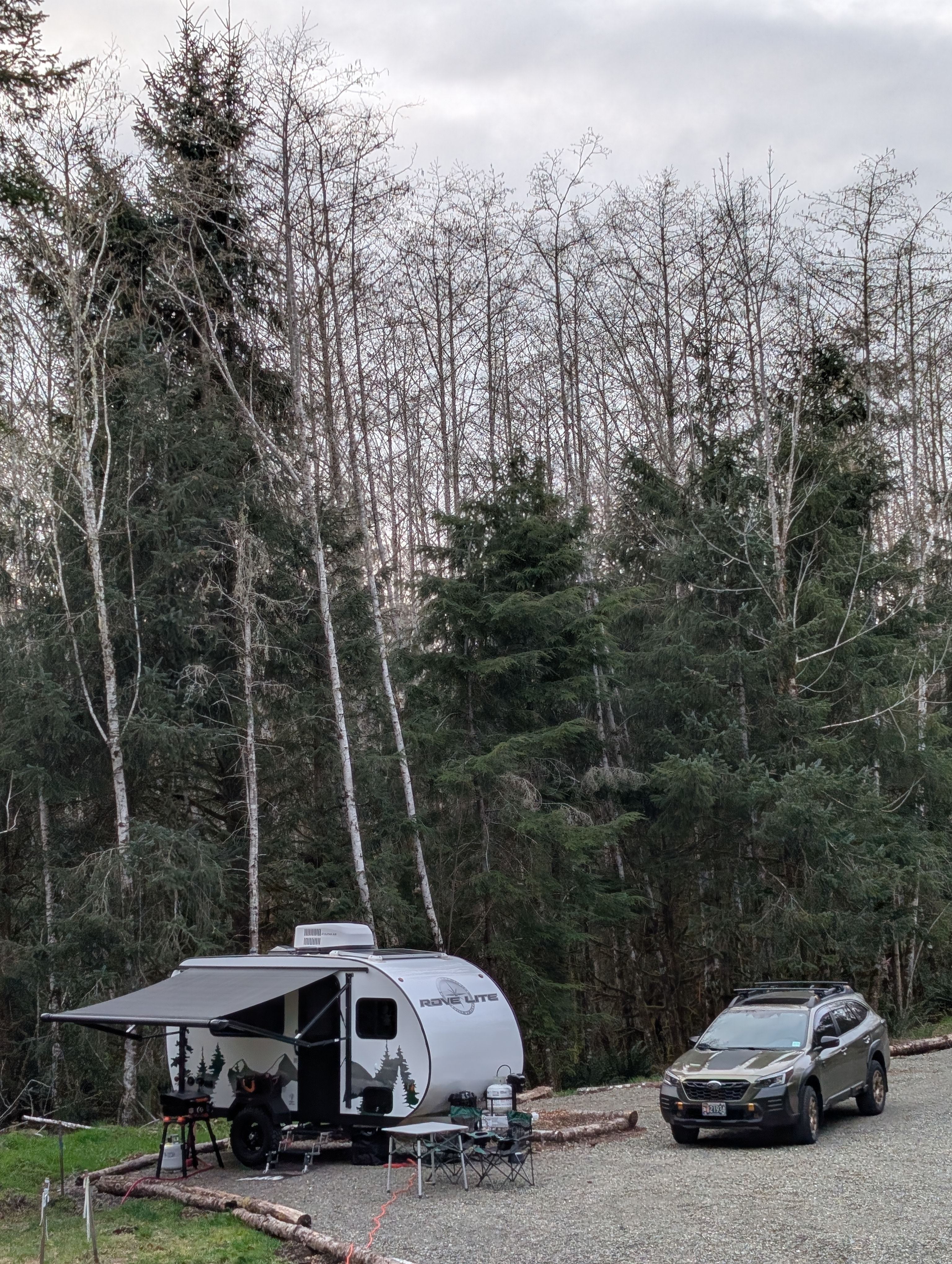 Bright Family Forest