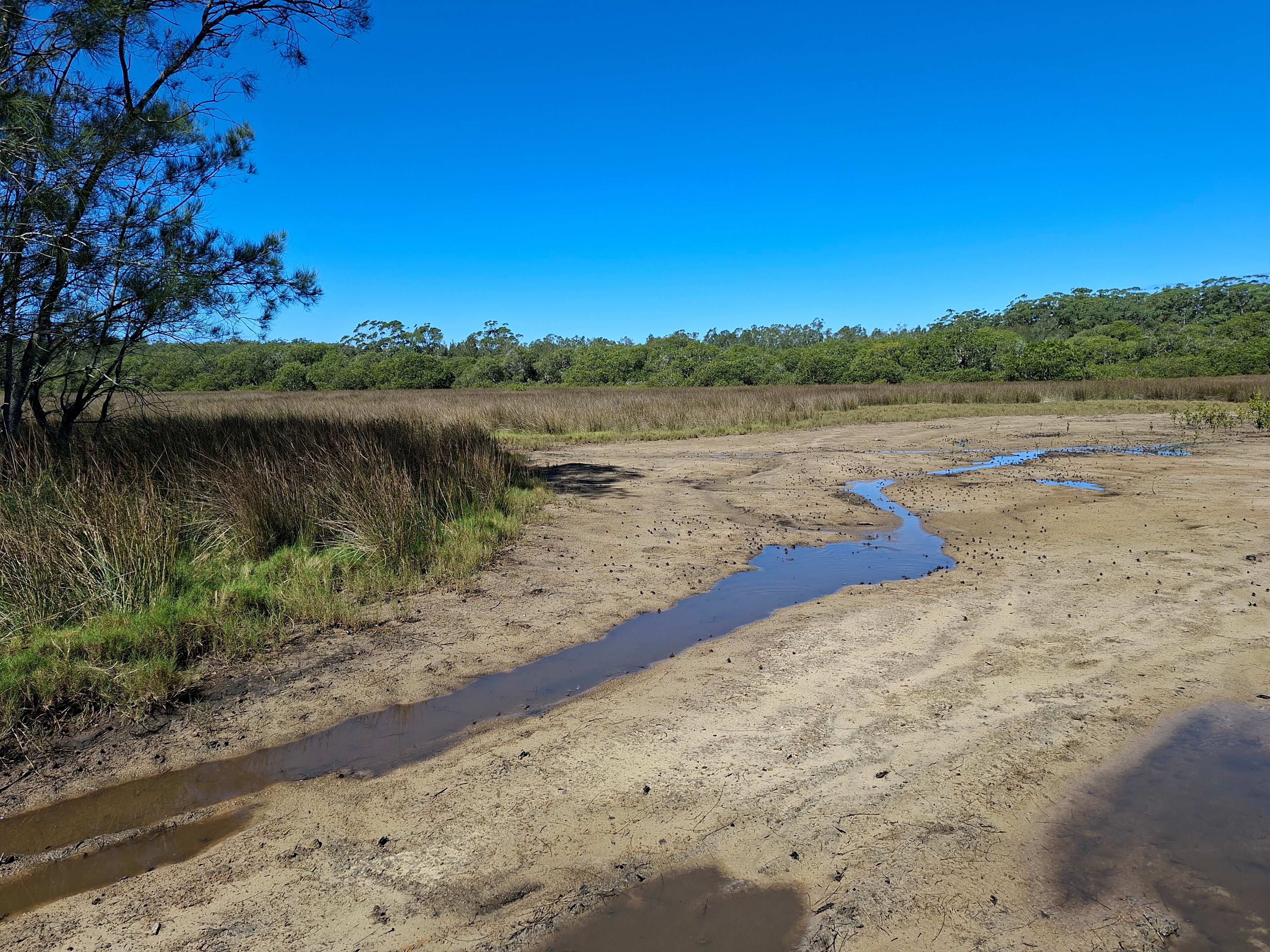 Currambene Creek Escape
