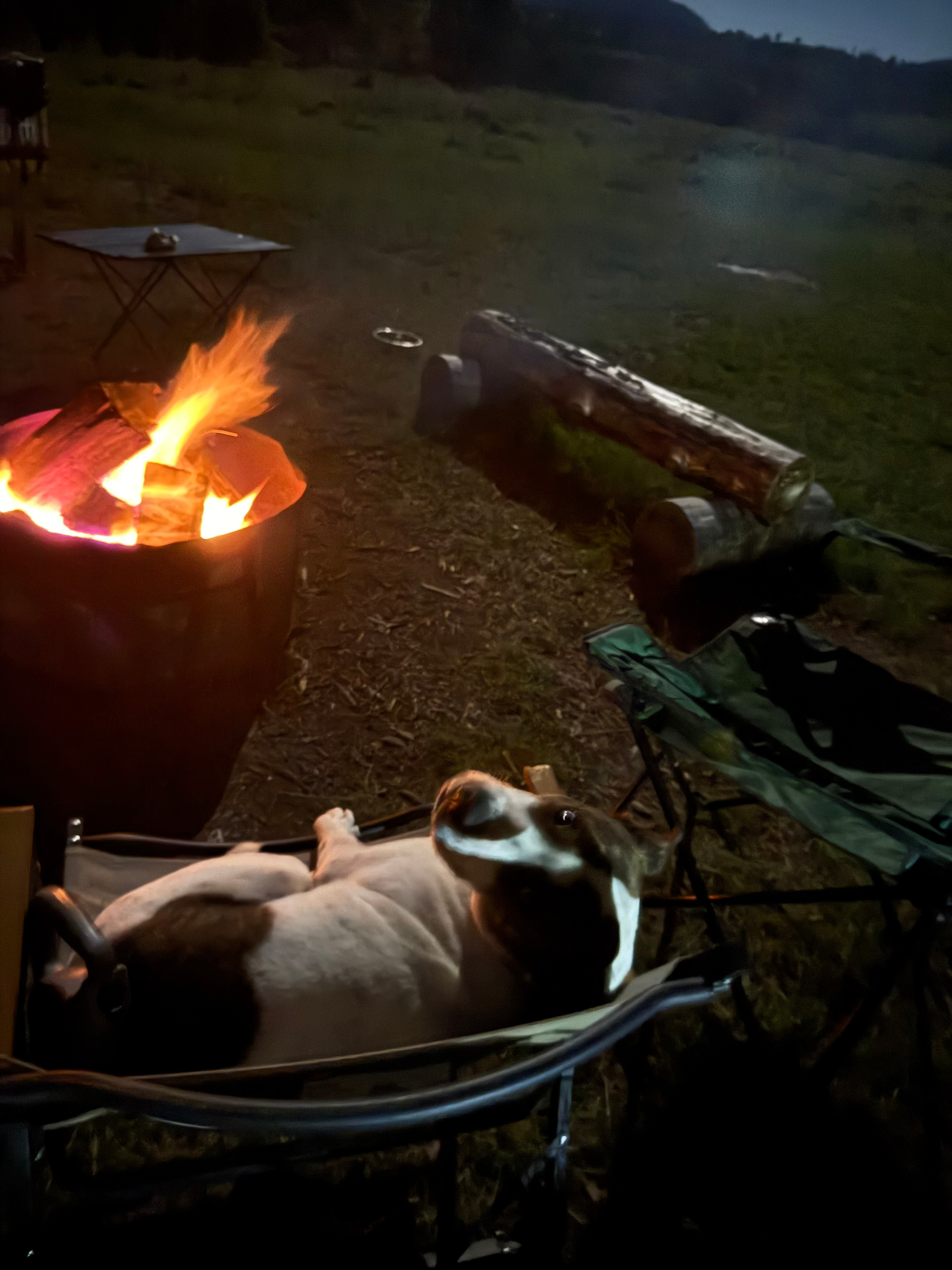 Themeda Farm Campground