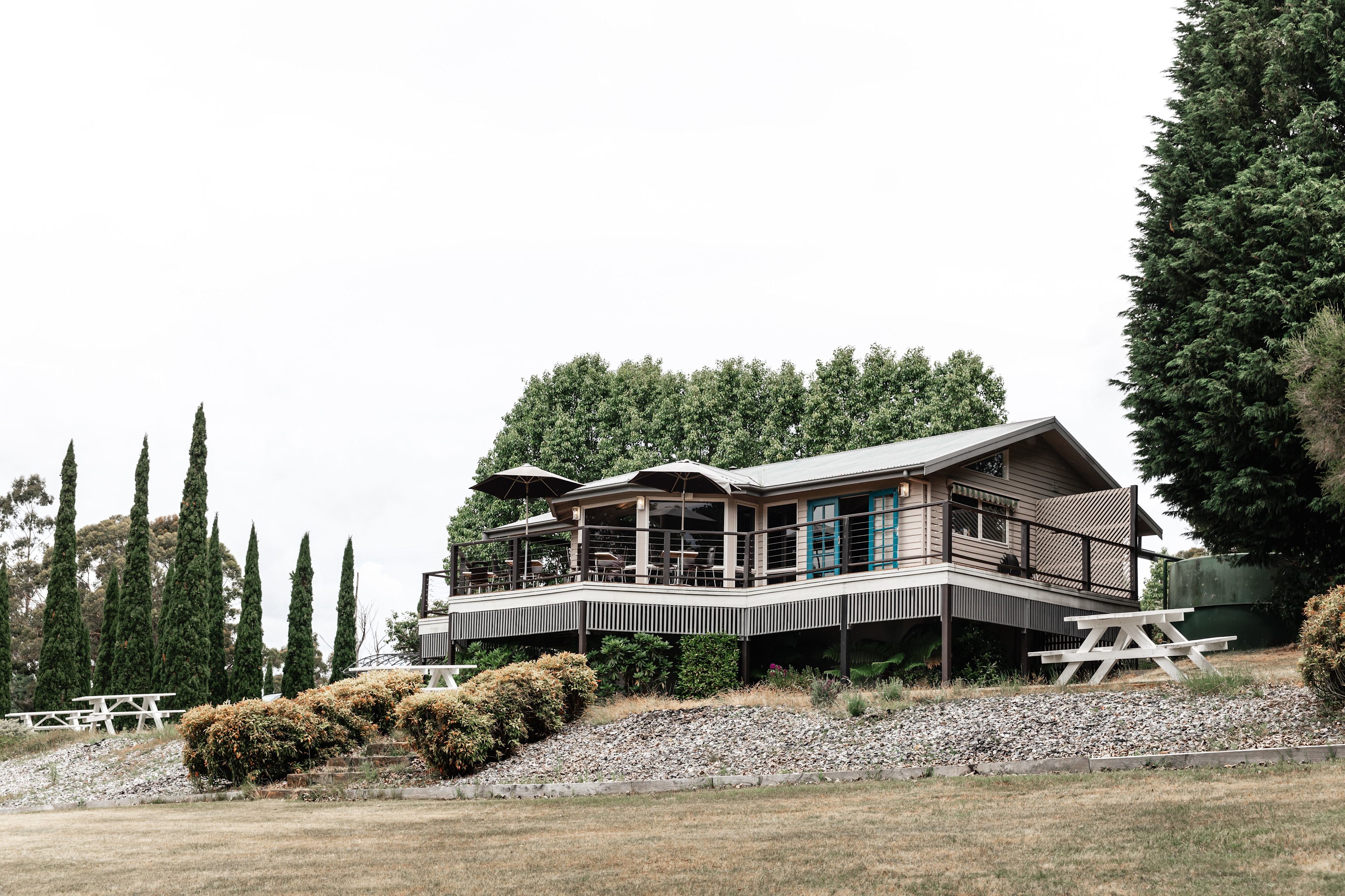 House of Hargrave Vineyard