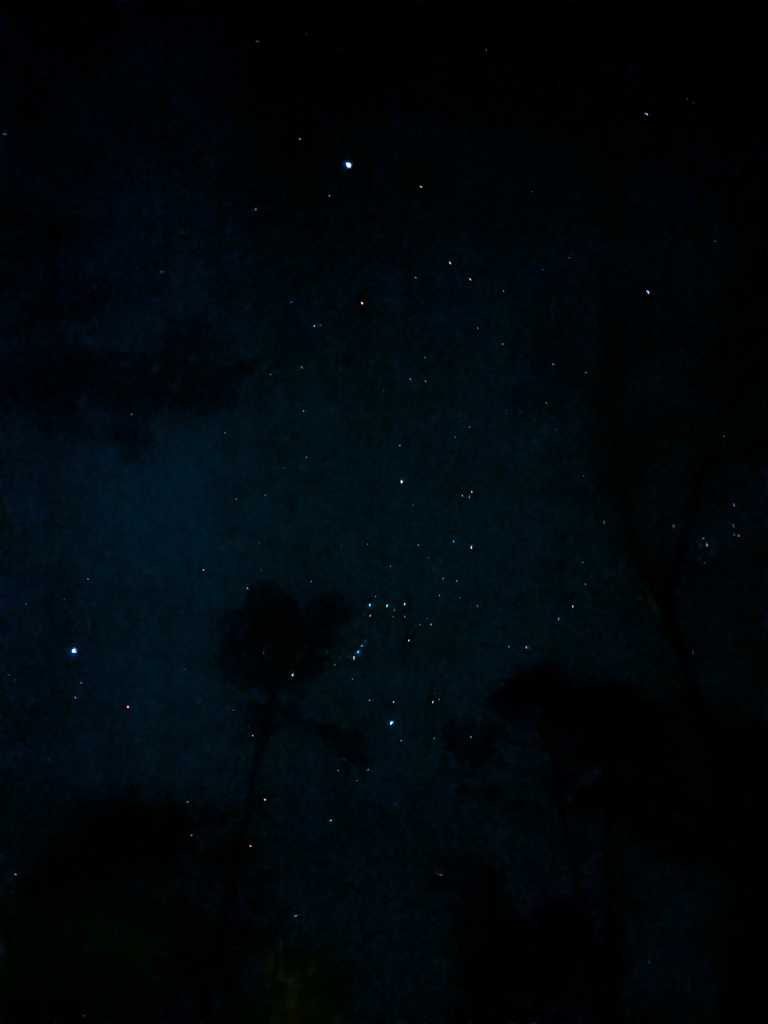 Unfound Florida Dark Sky Campsite