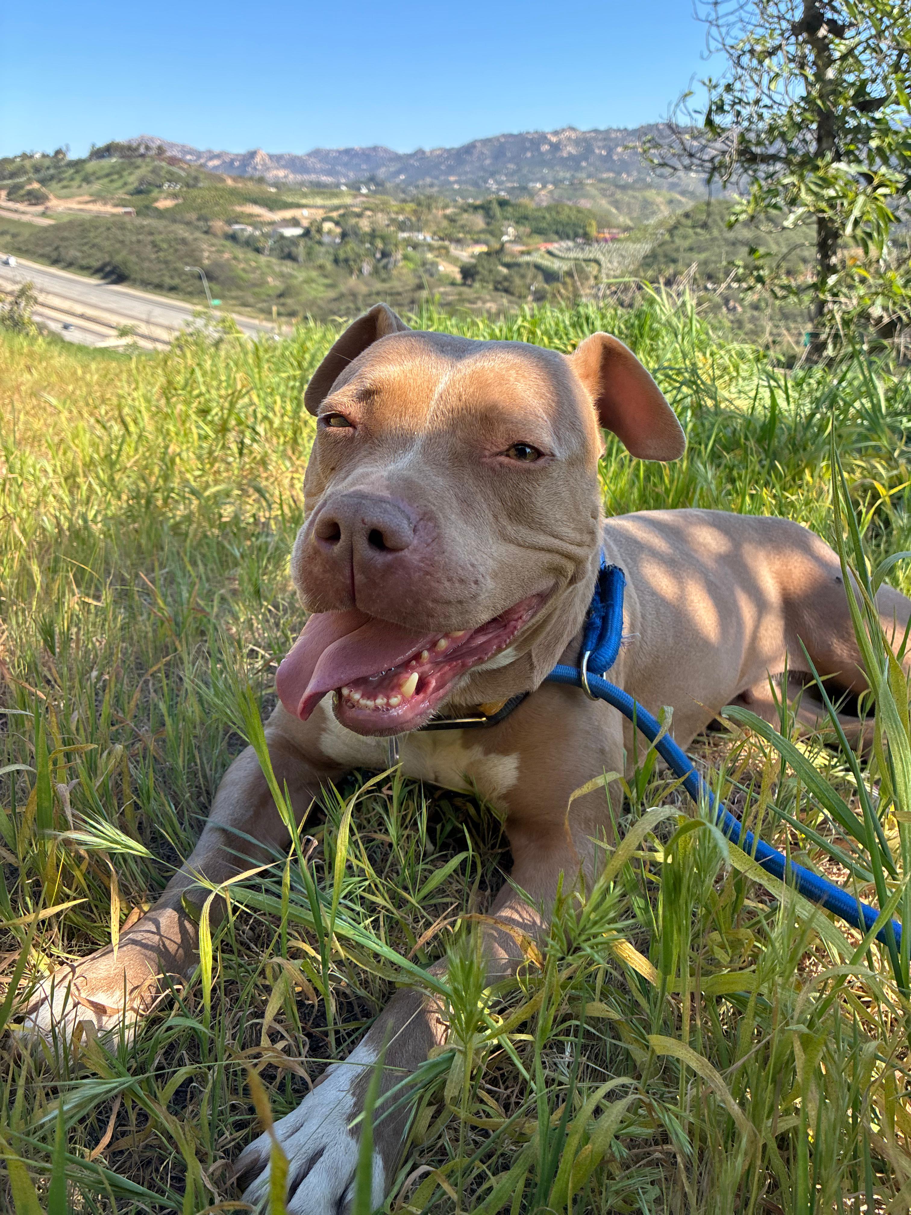 Fallbrook Campground