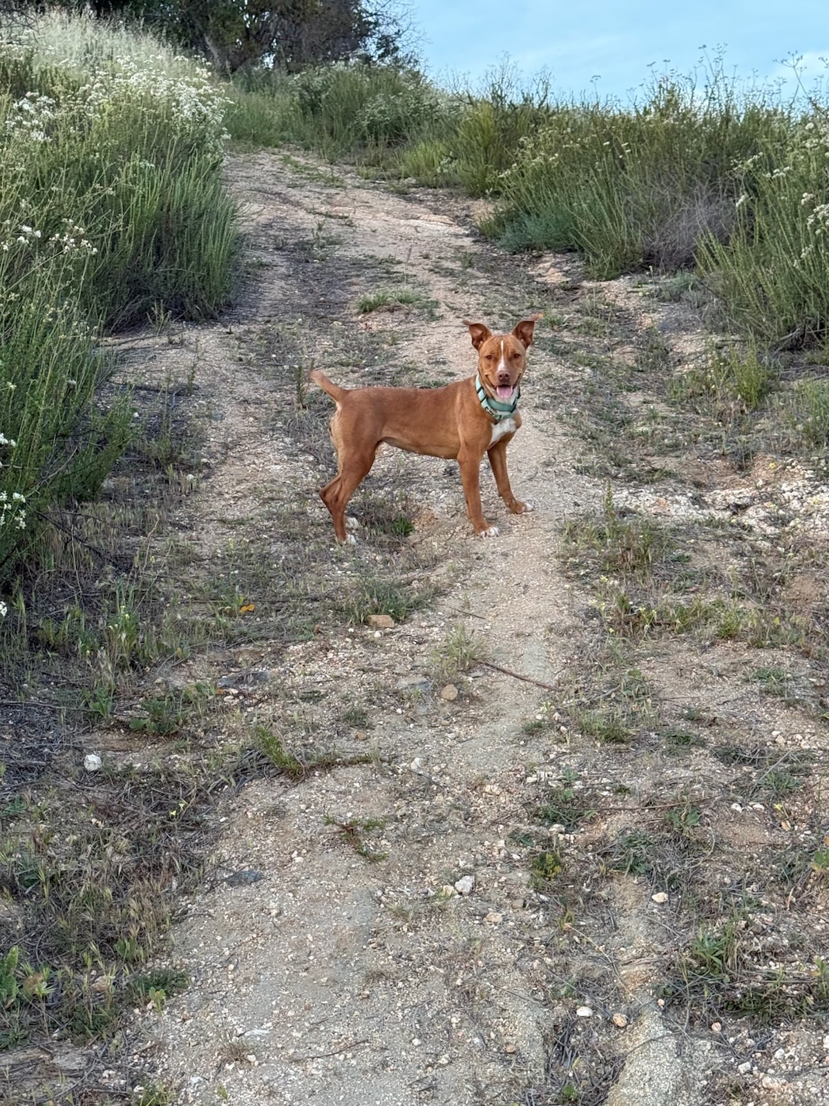 Fallbrook Campground