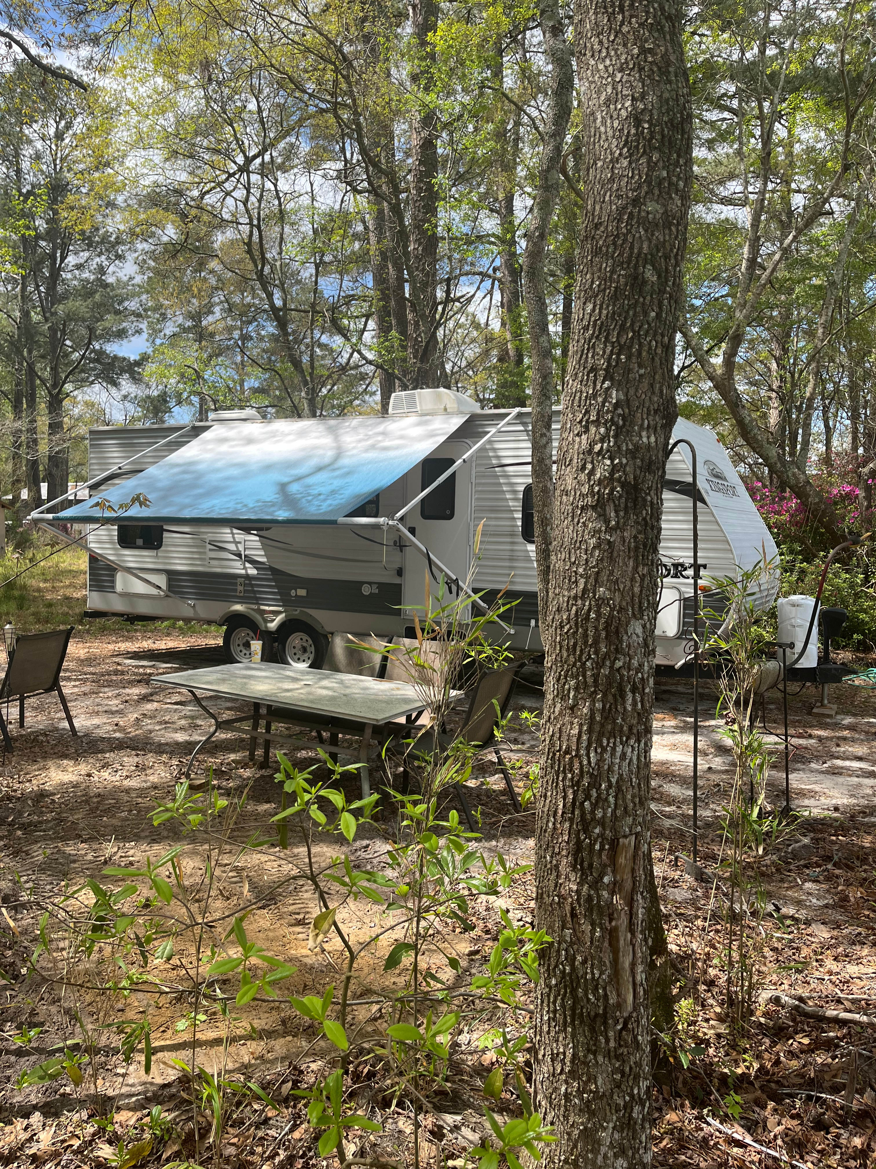 Pine Meadow RV Site