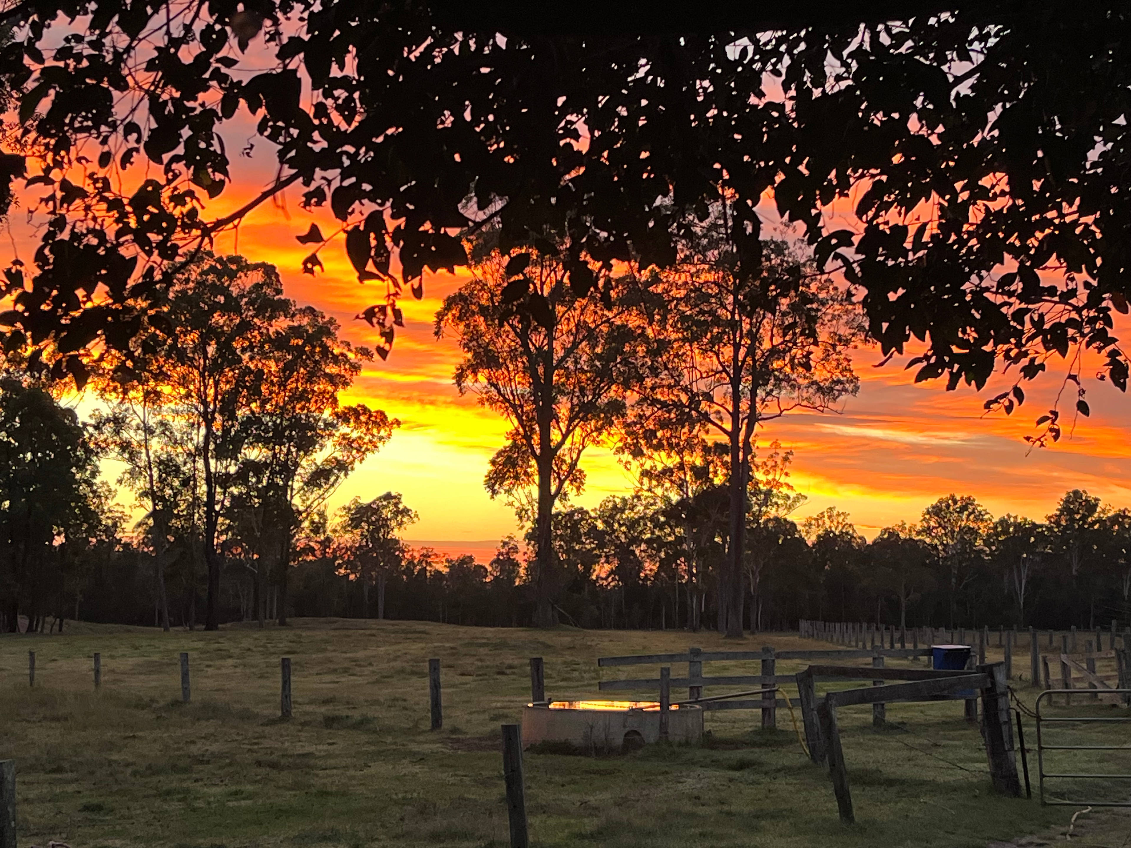 Charrawarra @ Kippenduff