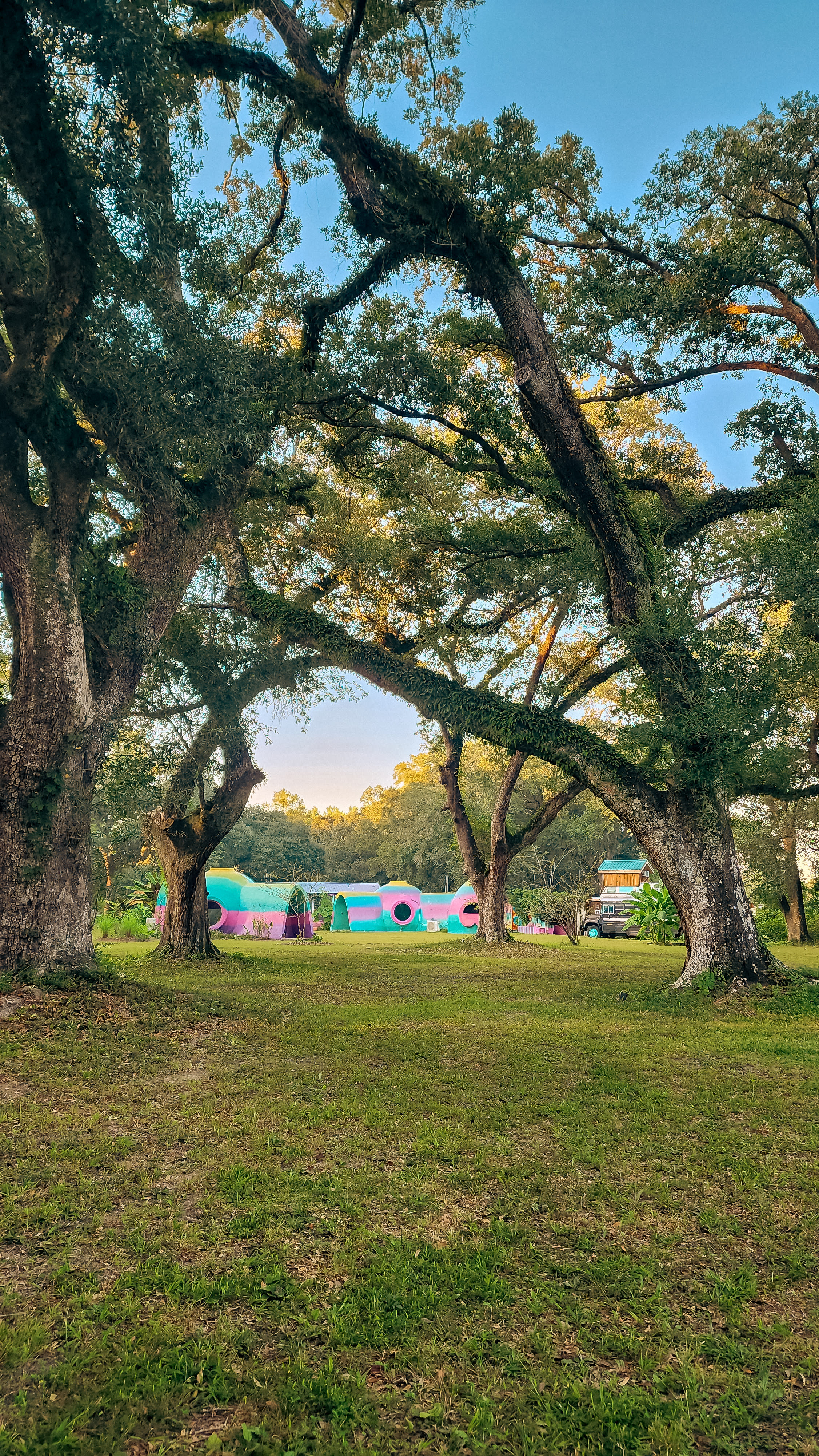 Colorful Camping at Beakertopia✨️🌈