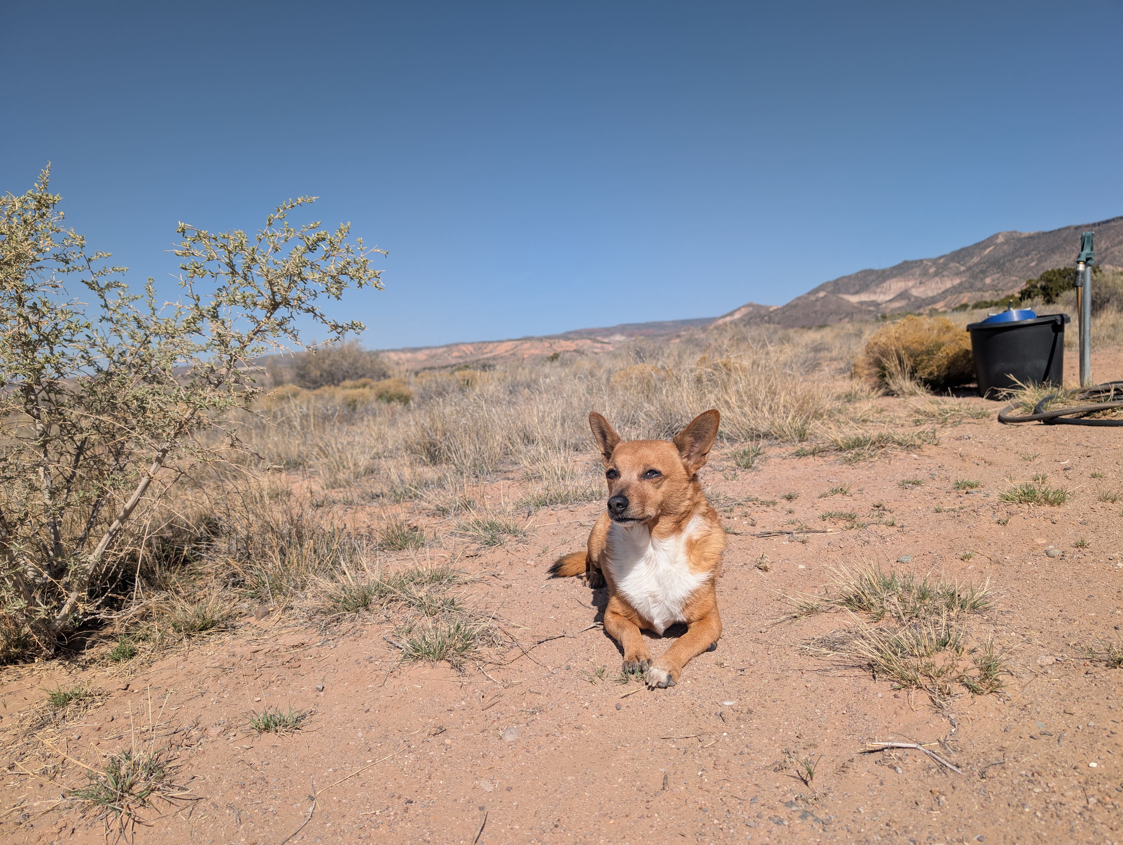 Casa de KAMA (The Silo)