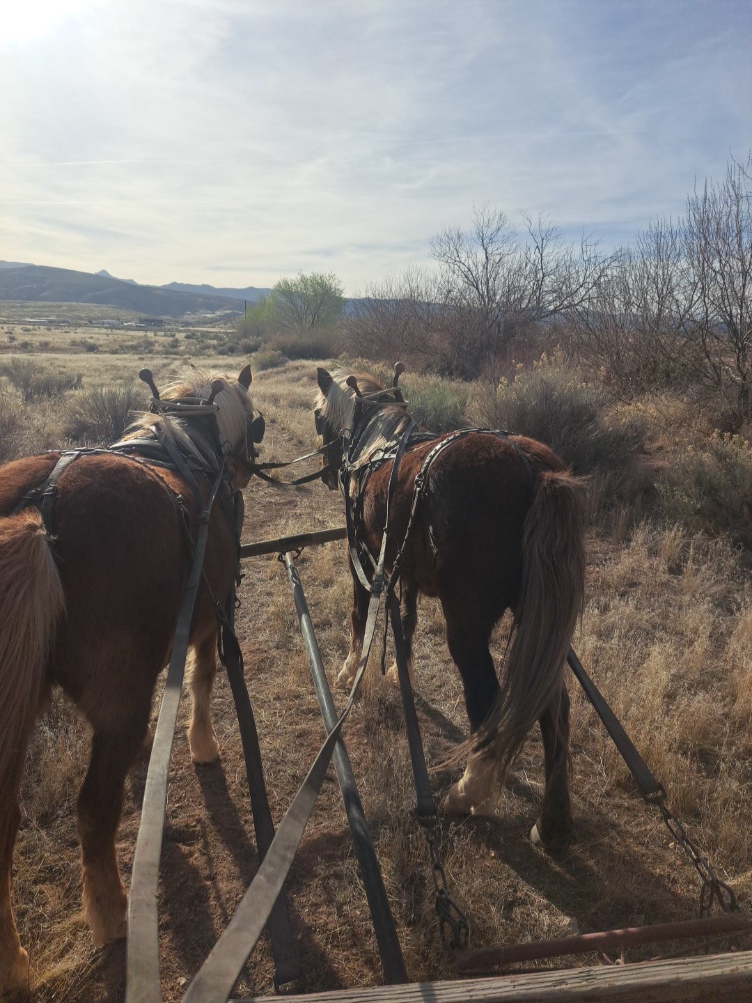 Skiver Ranch