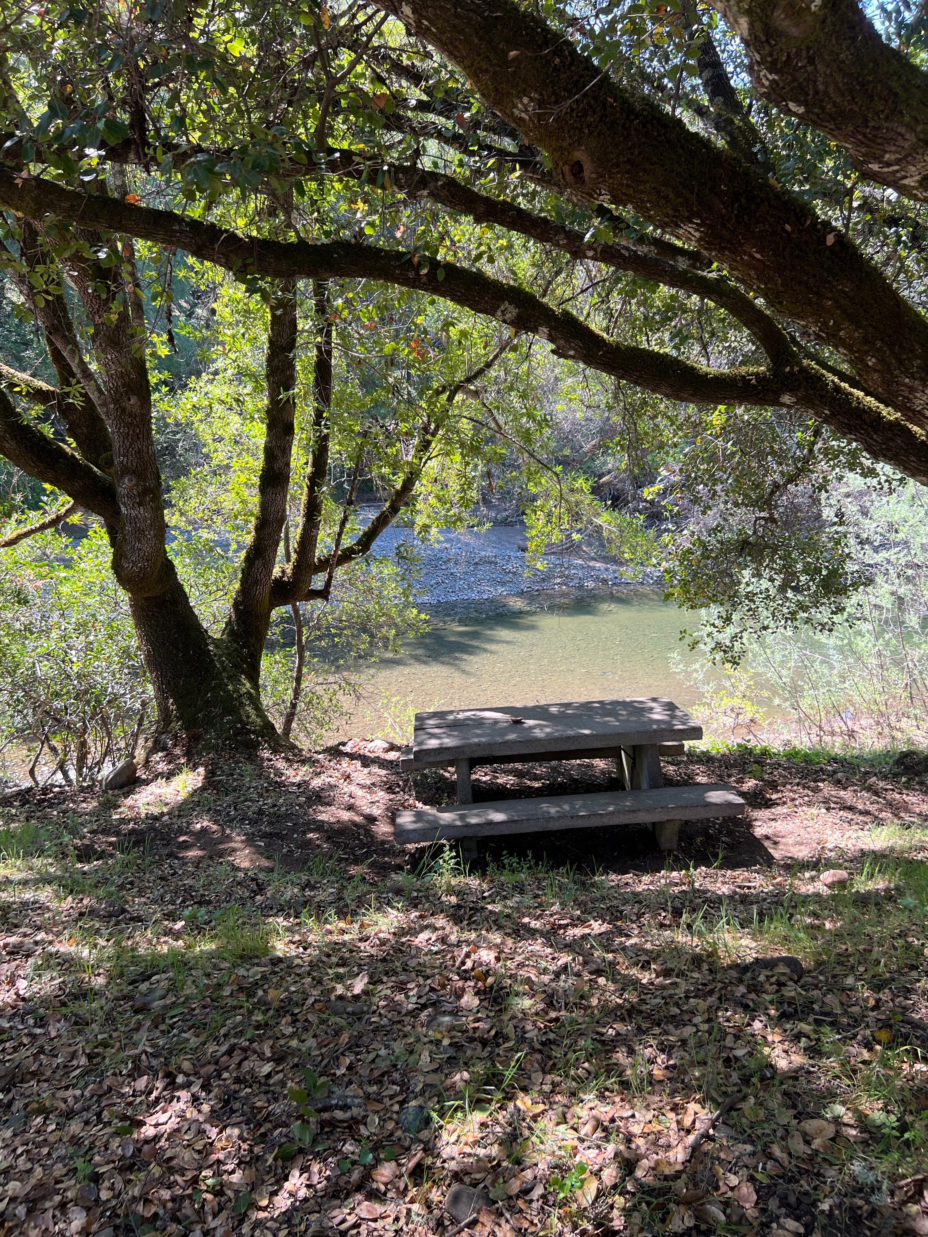 Feliz Creek Vacations