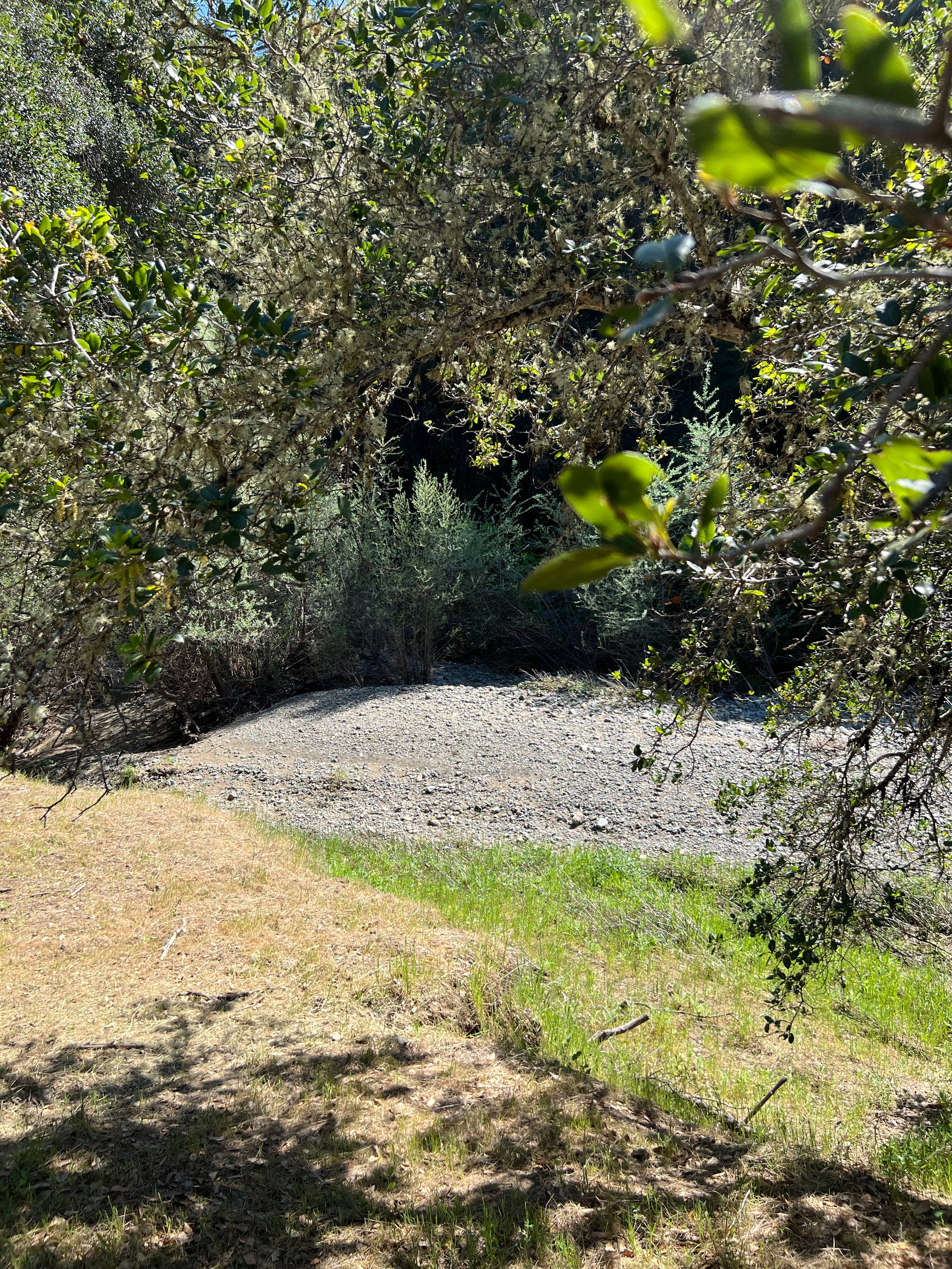 Feliz Creek Vacations
