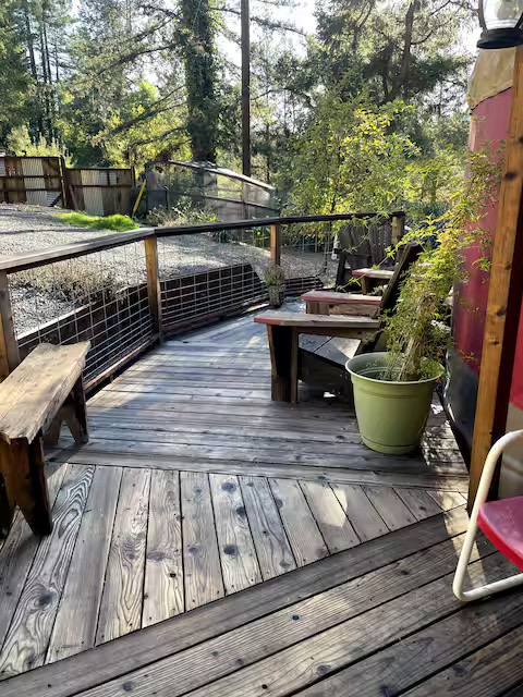 Nature's Nook: Nomadic Yurt Getaway