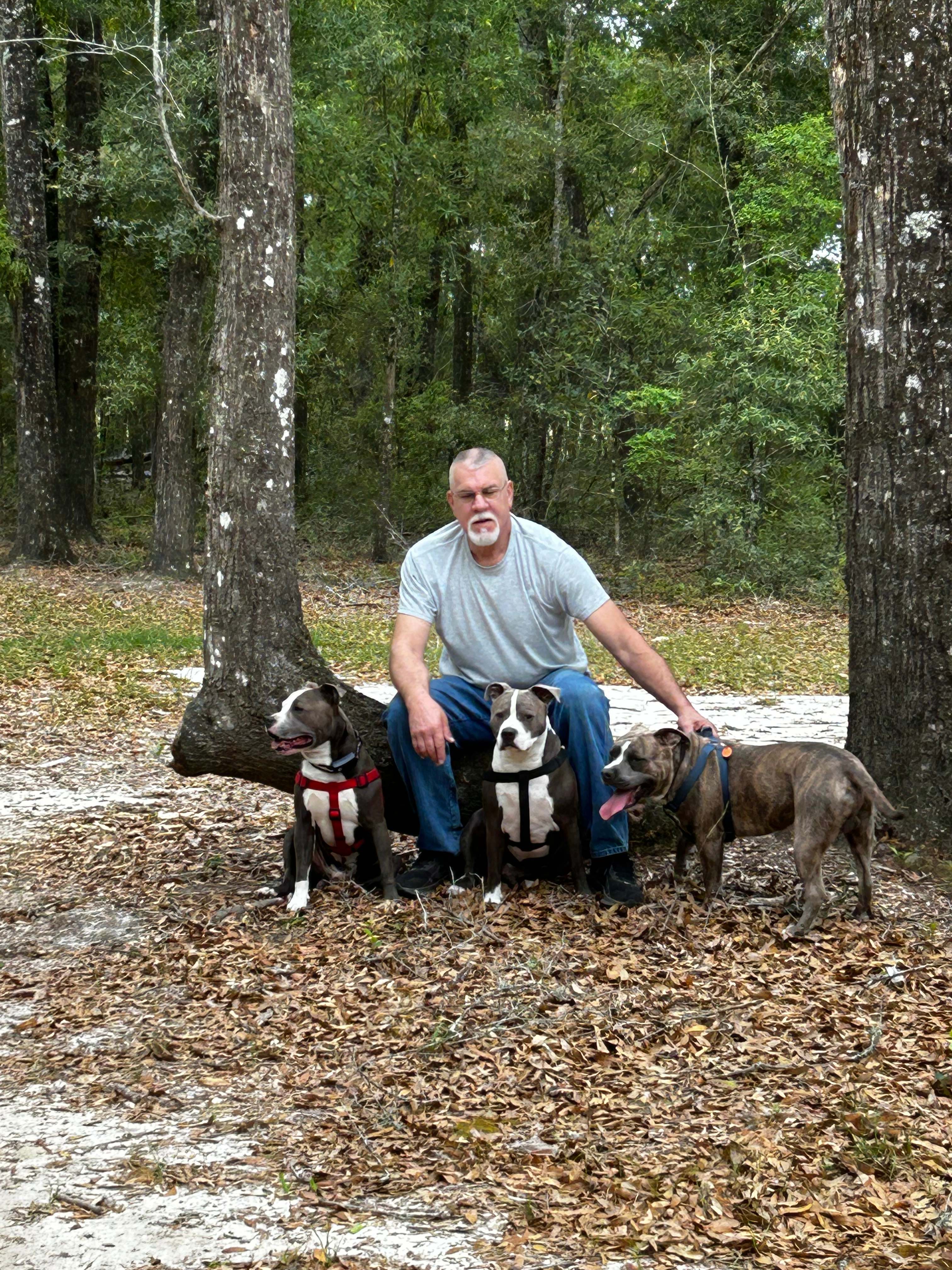 Just a man and his dogs. 