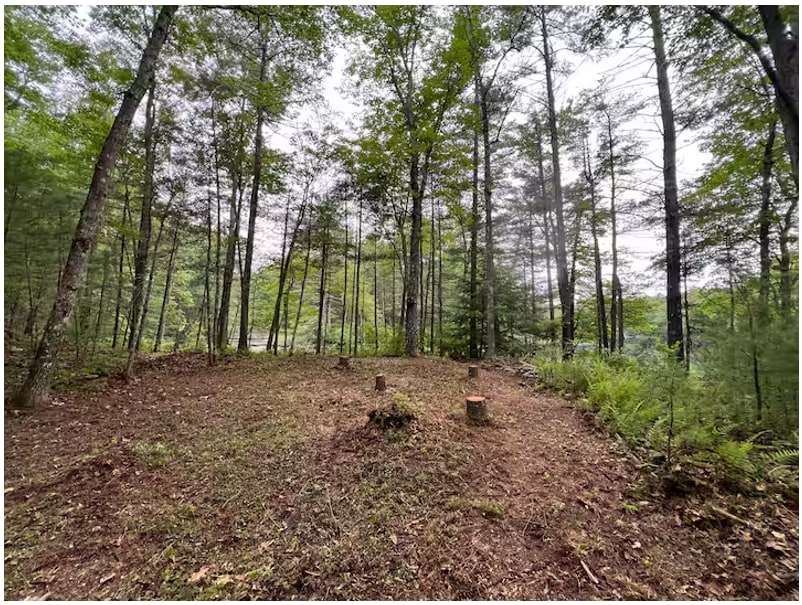 River View Campsite Escape