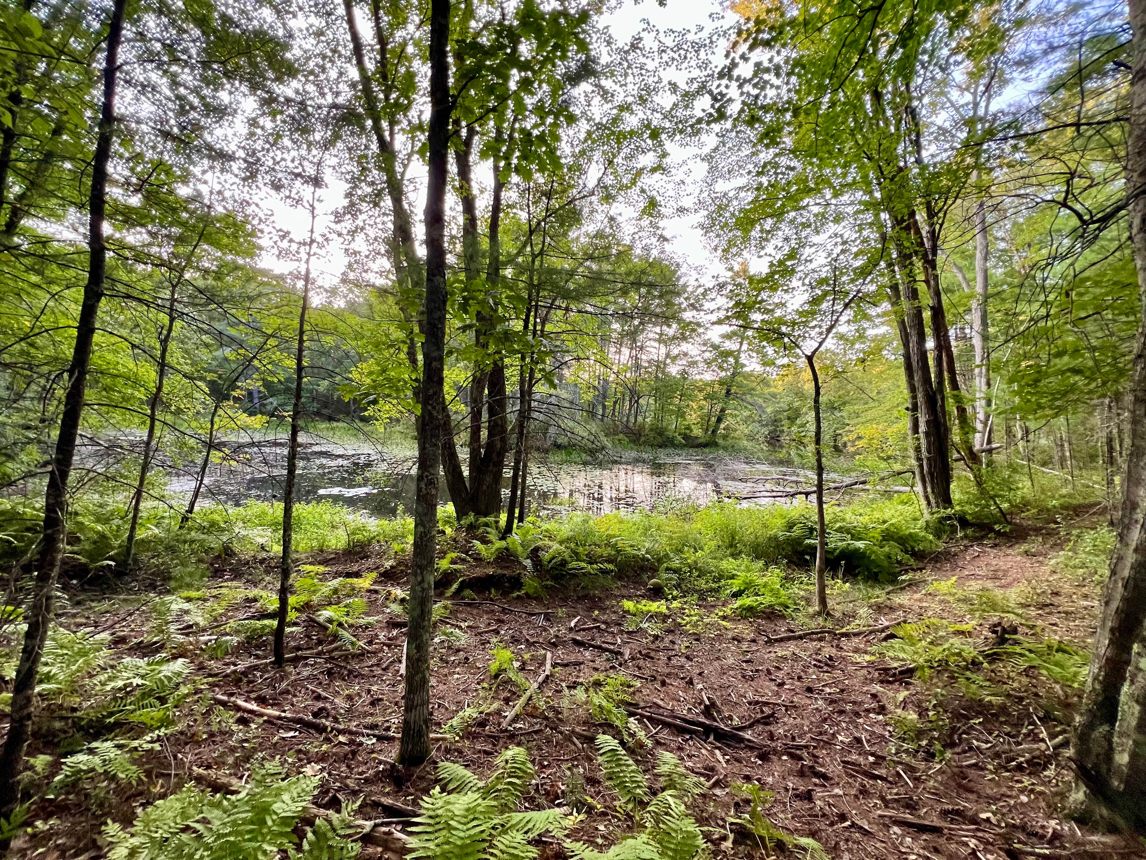 River View Campsite Escape