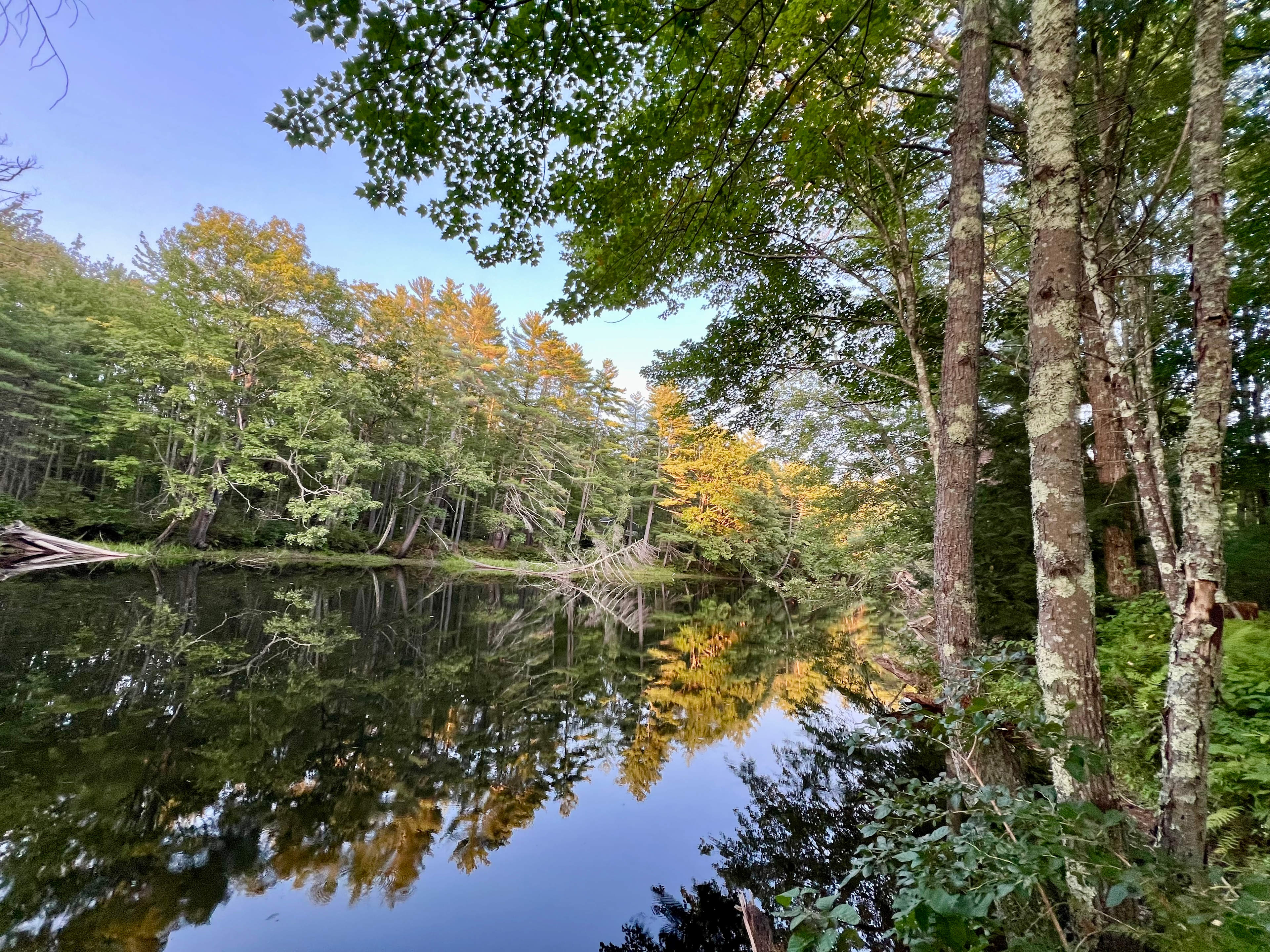 River View Campsite Escape