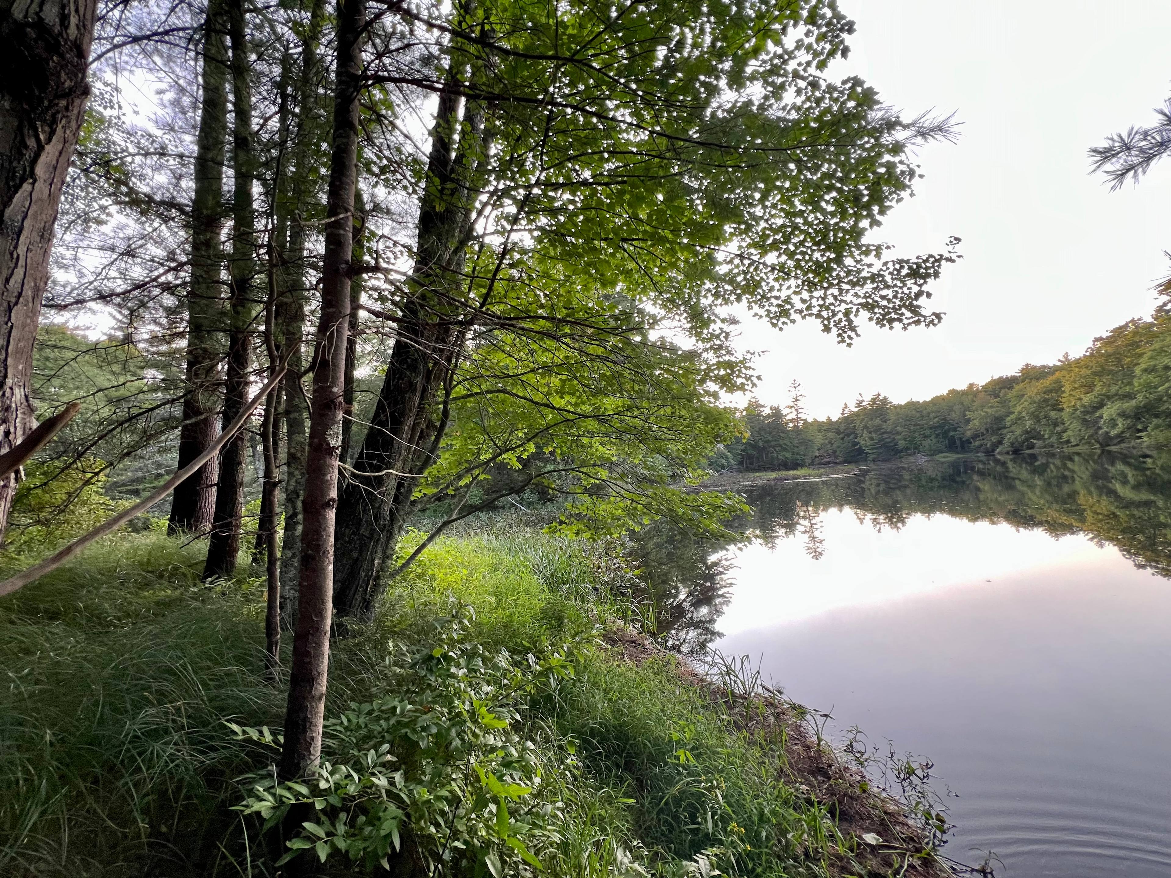 River View Campsite Escape