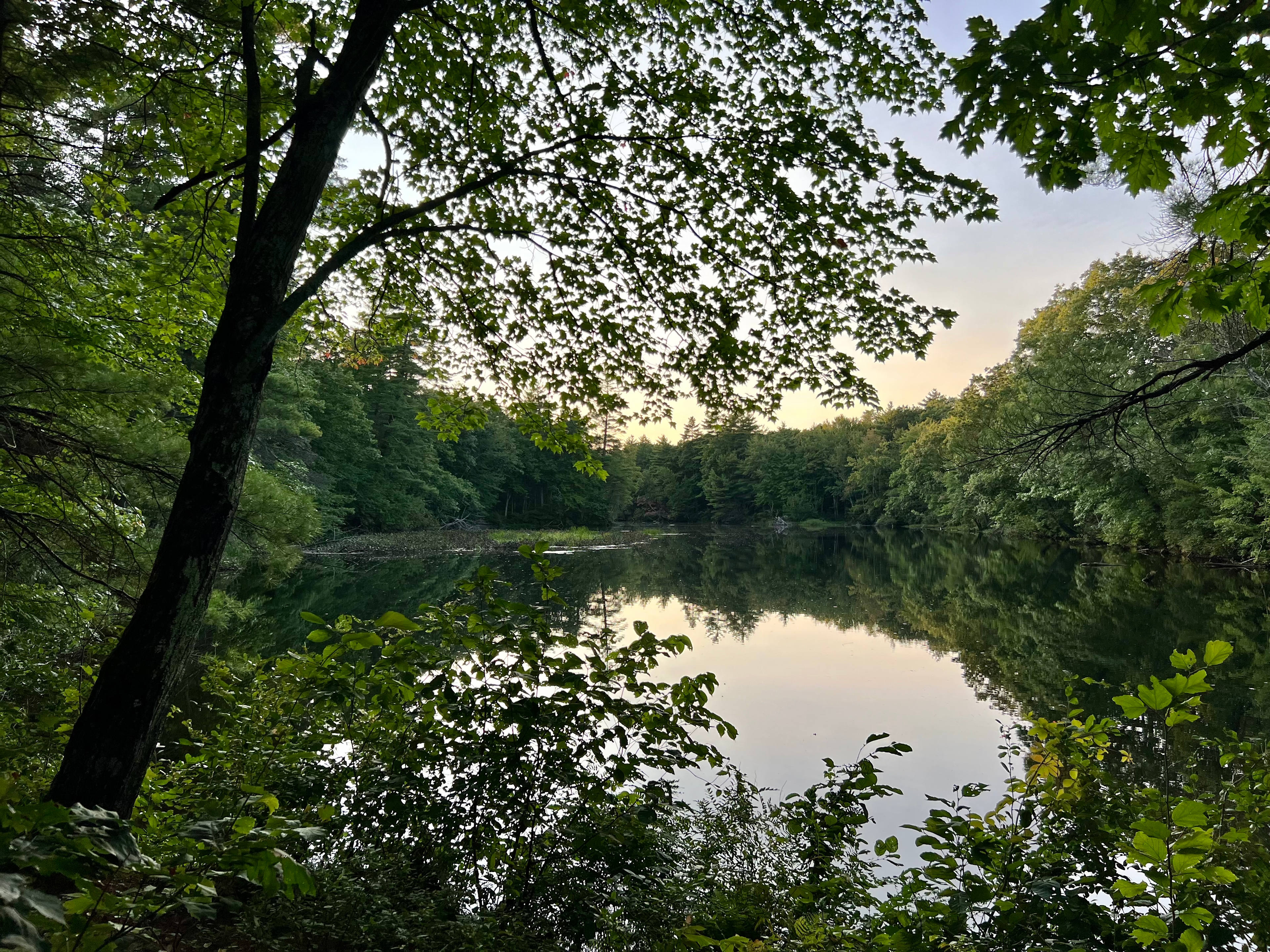 River View Campsite Escape