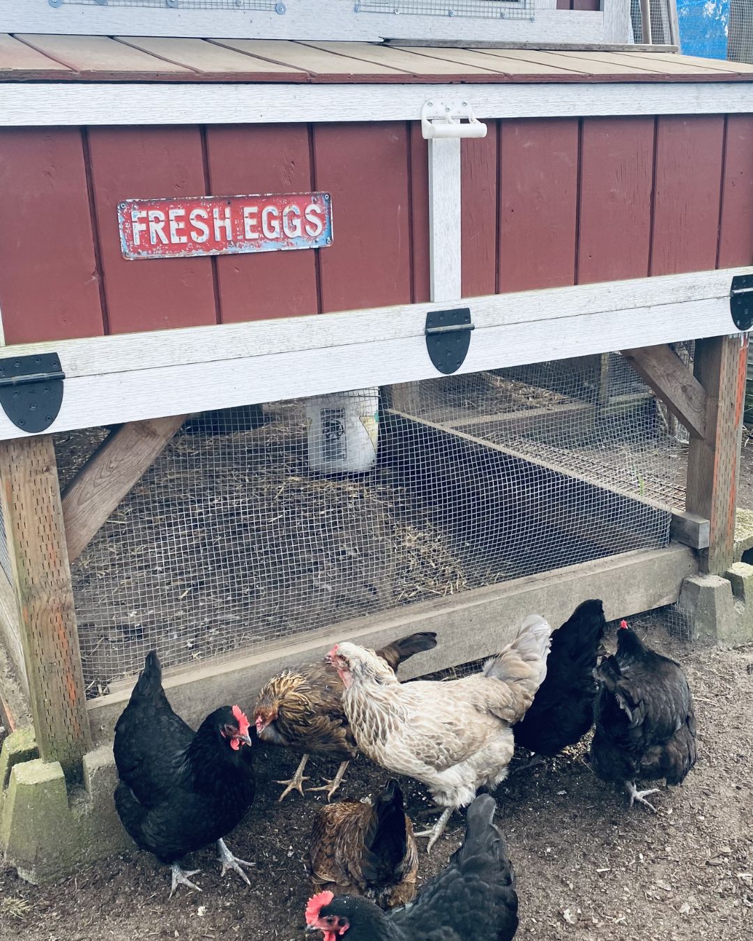 Homestead Helpers