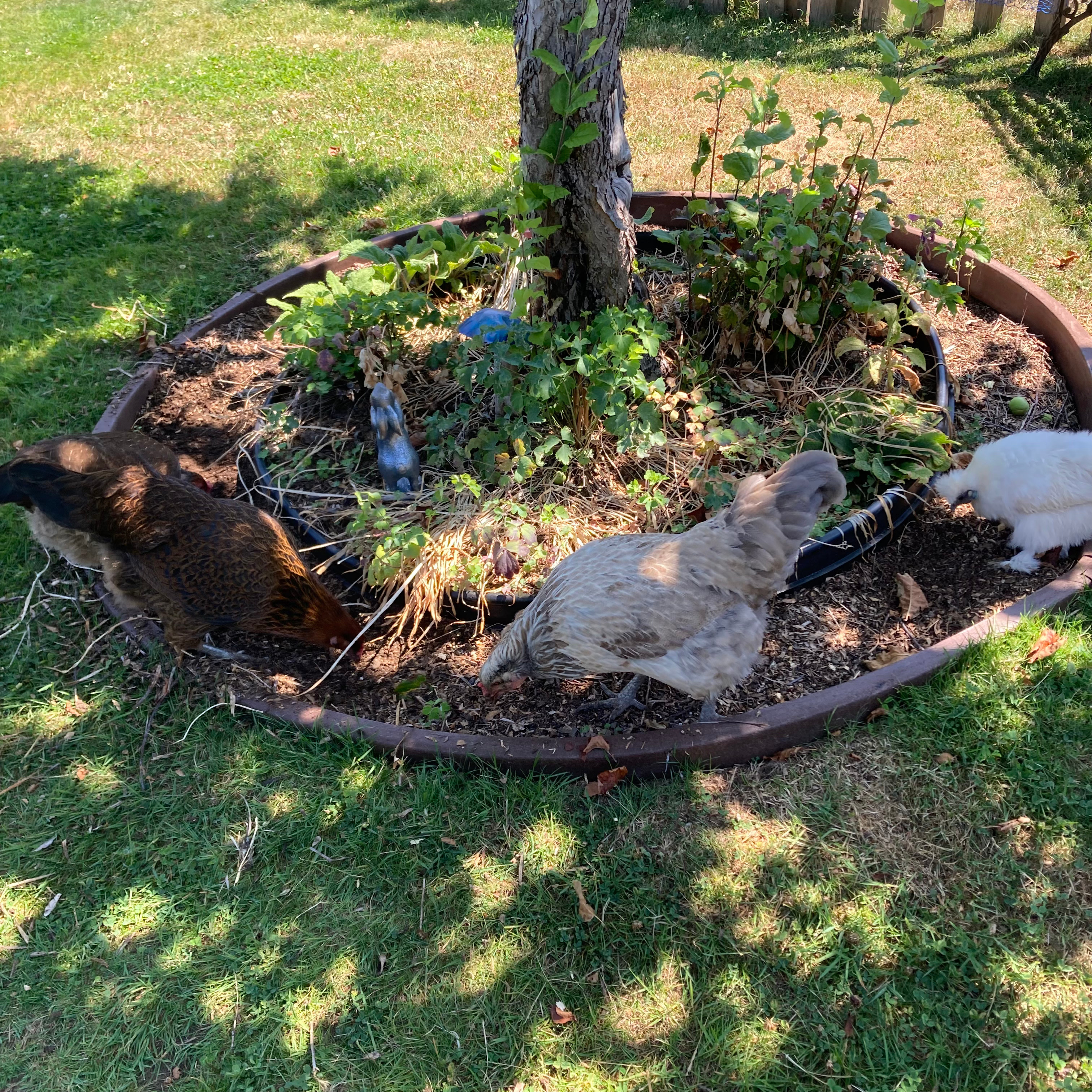Garden Helpers 