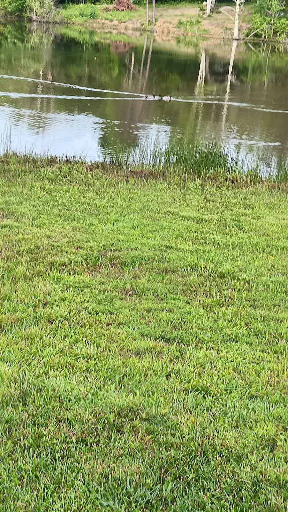 Camp Springs Blue Grass Park & Camp