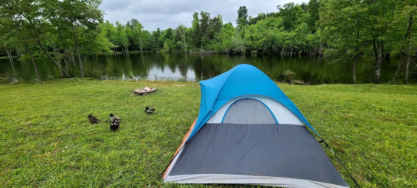 Camp Springs Blue Grass Park & Camp