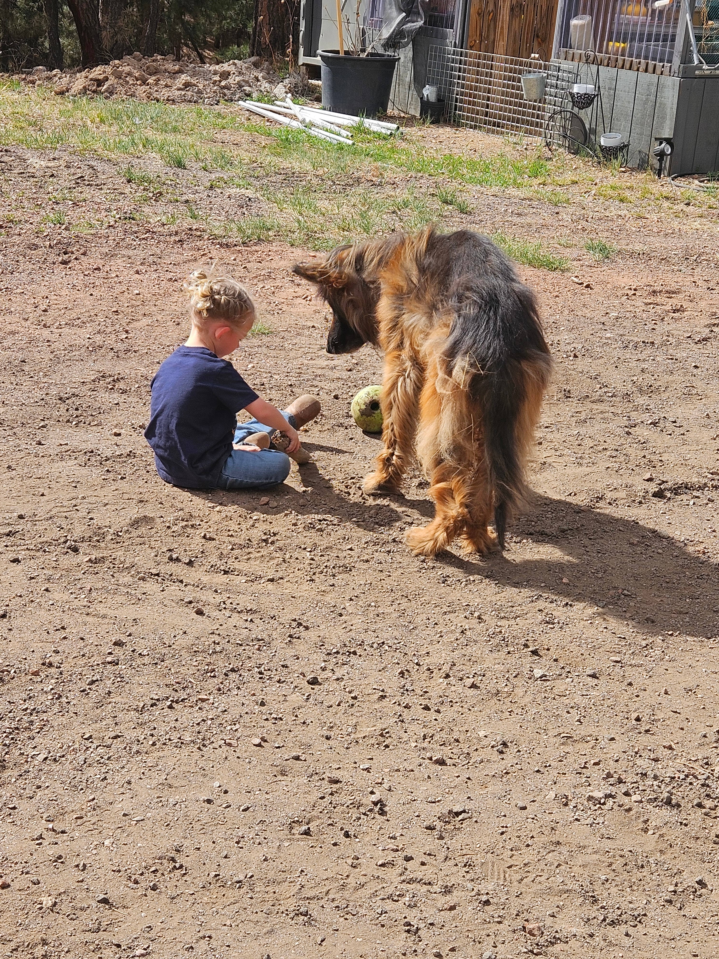 B Basin Homestead Llc