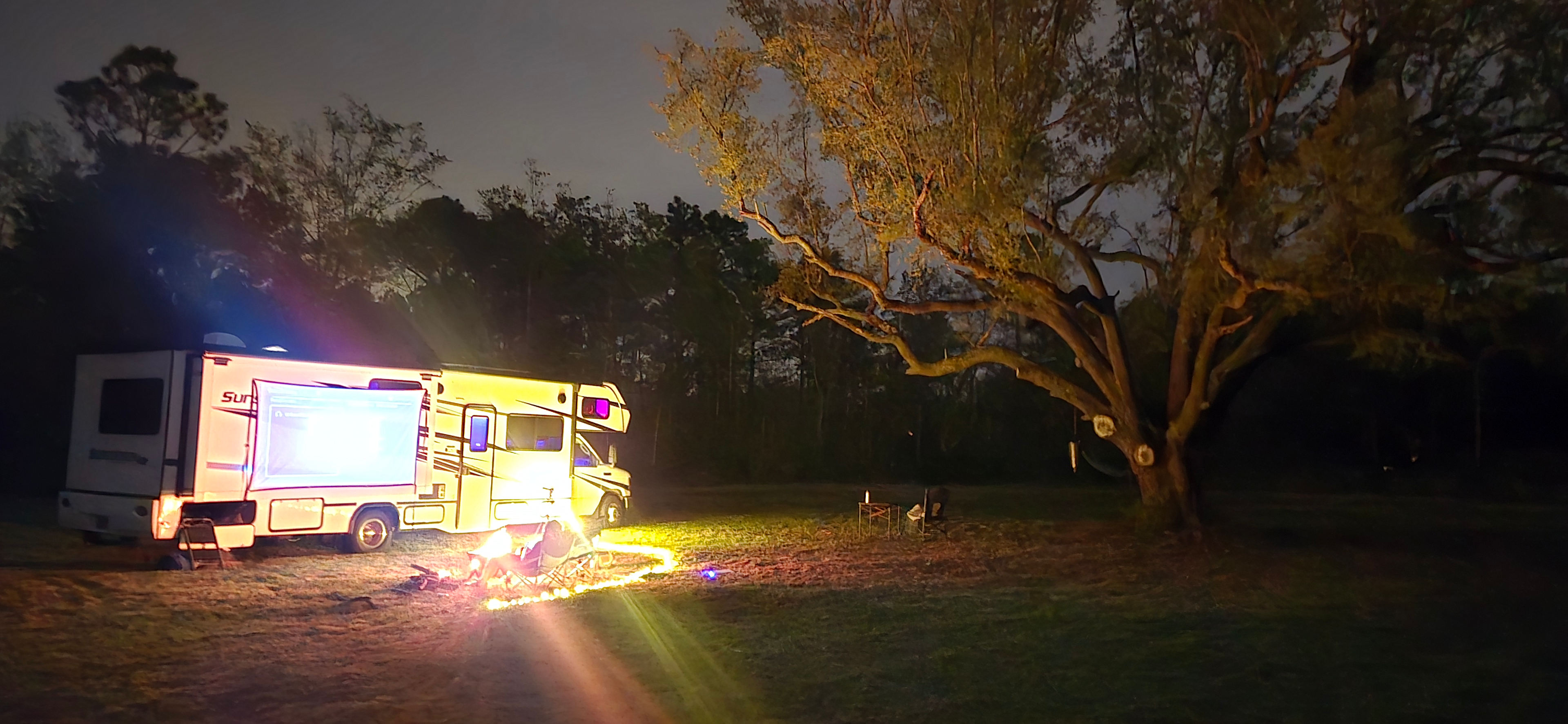 Garcon Live Oaks under the Stars