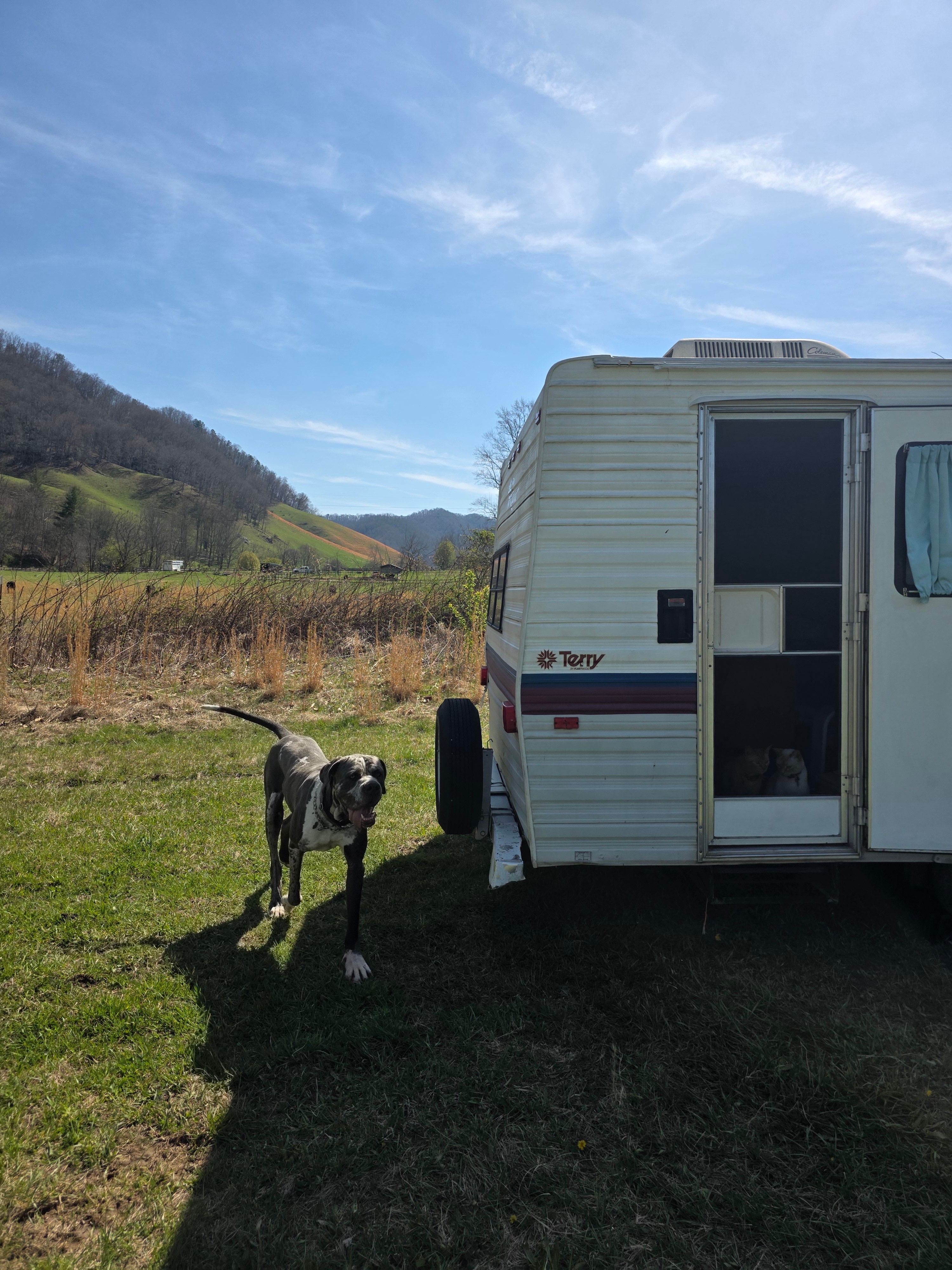 Turkey Creek Oasis~valley views