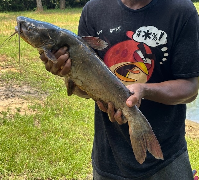 Backyard Lakeside RV Retreat