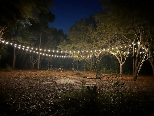 Too Many Oaks Plantation