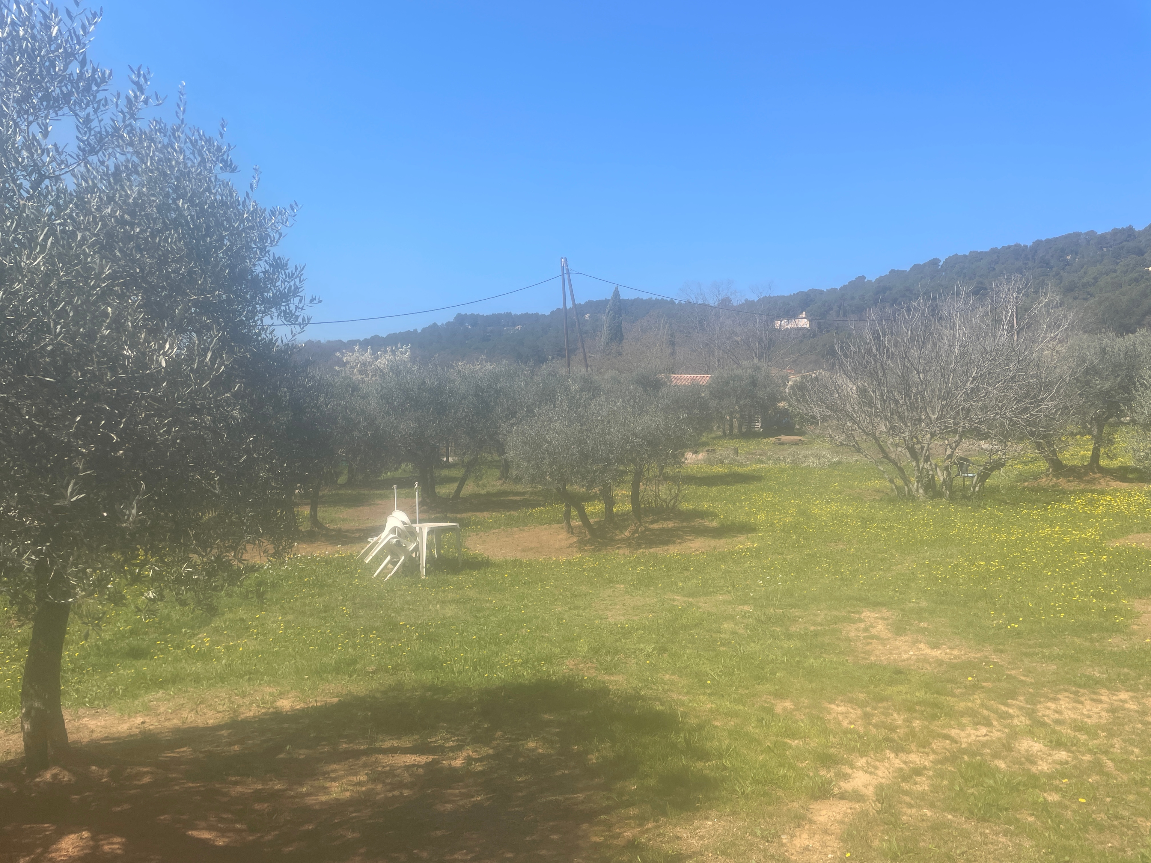Bastide Virginie