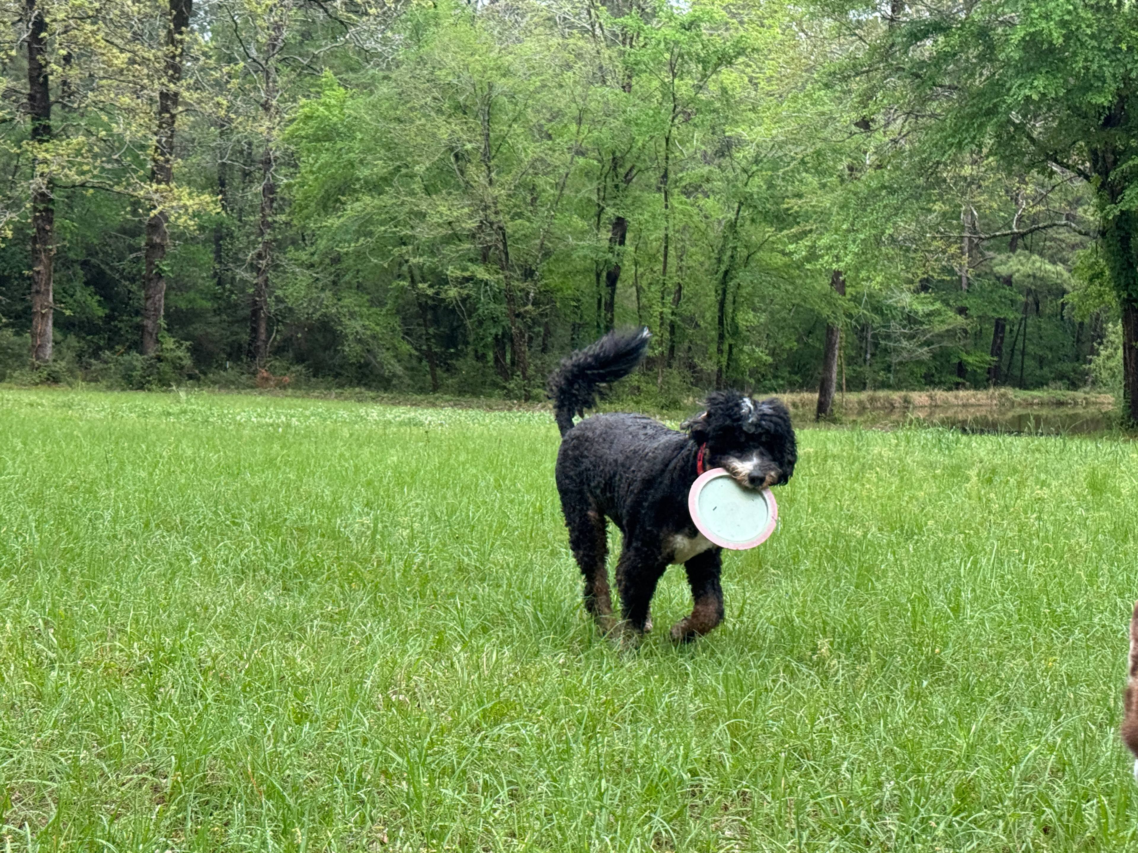 Circle C CampGrounds