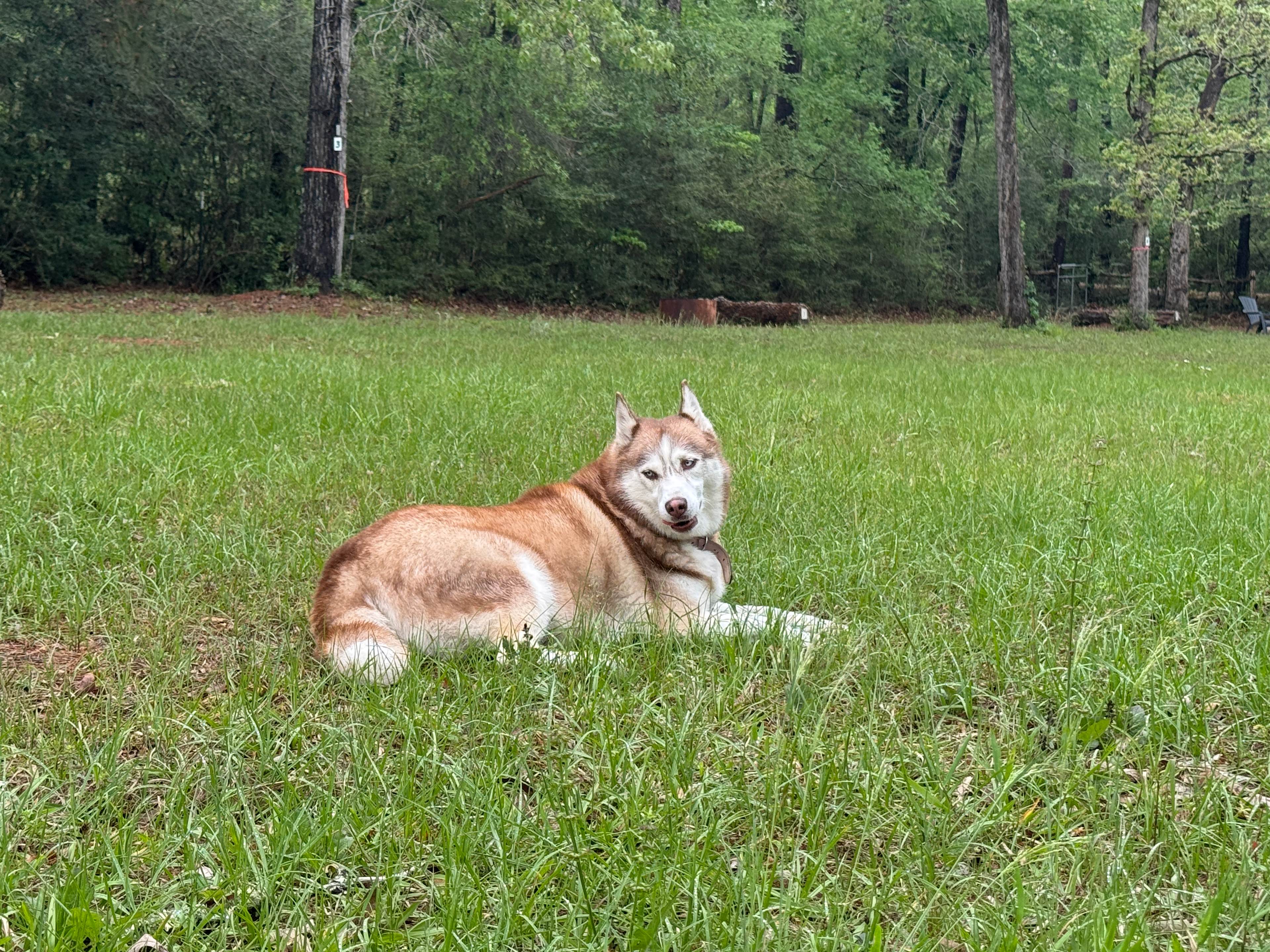 Circle C CampGrounds